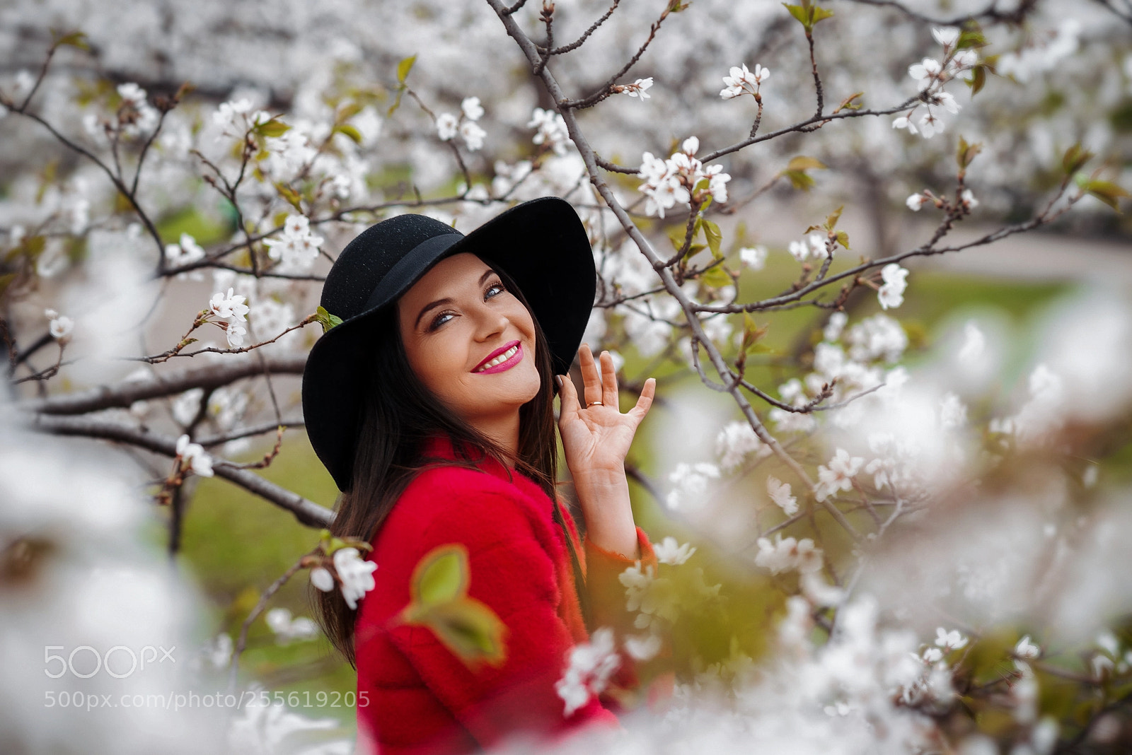 Nikon D610 sample photo. Sakura photography