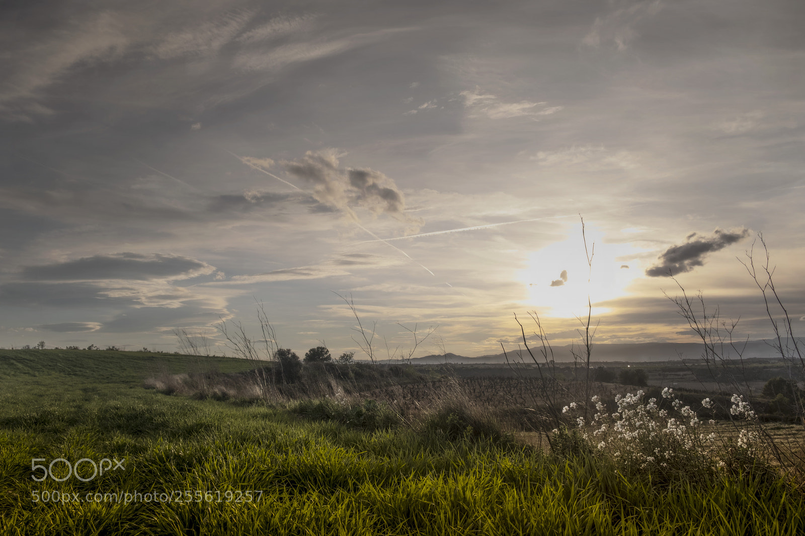 Fujifilm X-T20 sample photo. In montferri, a walk photography
