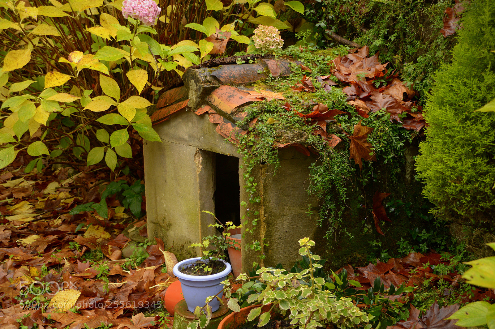 Nikon D3200 sample photo. Colores ( colours ) . photography