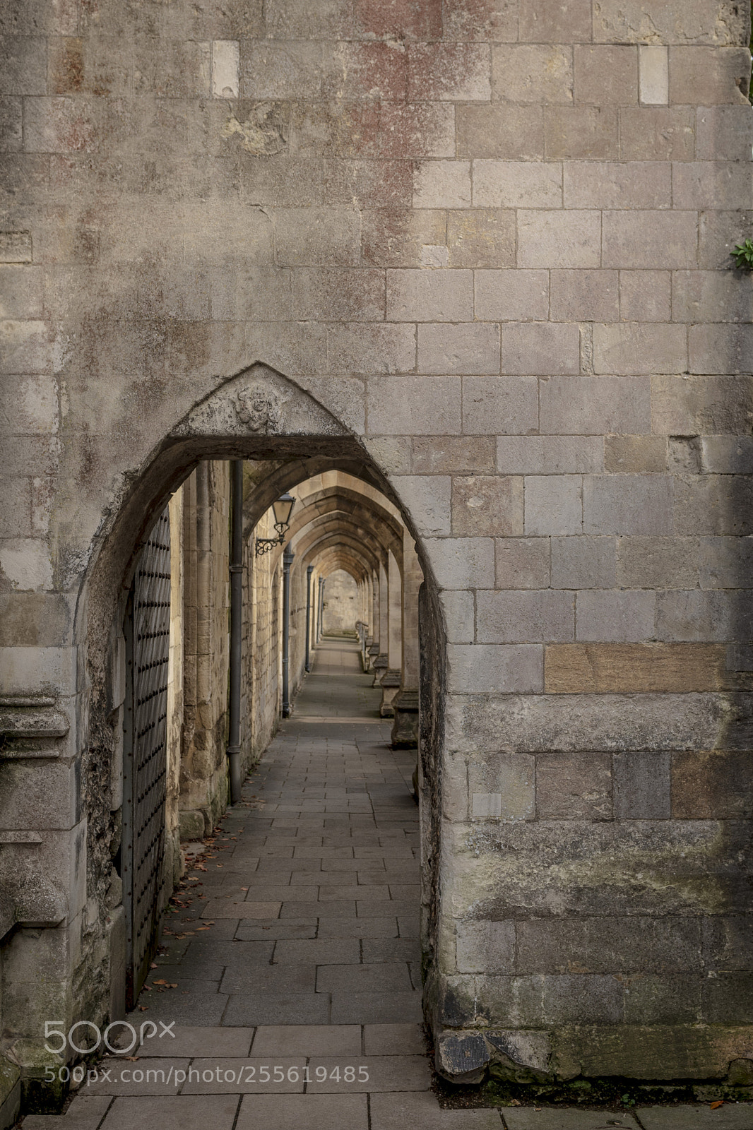 Nikon D500 sample photo. Winchester cathedral photography