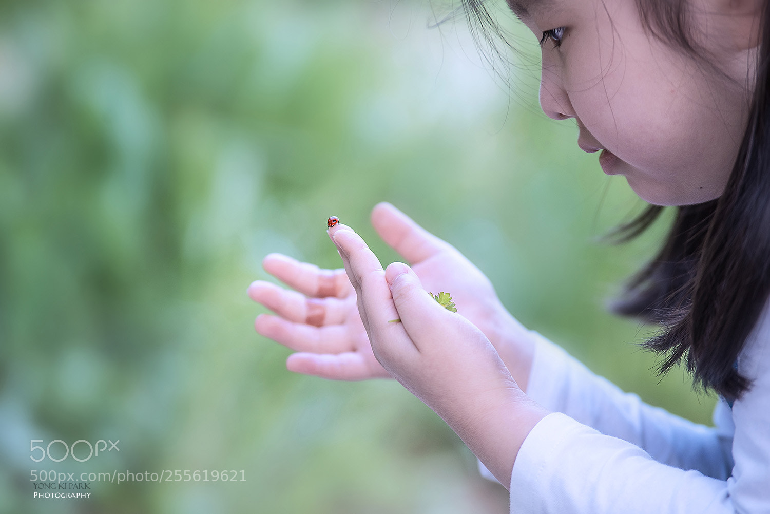 Pentax K-1 sample photo. Peace-we are friends-1 photography