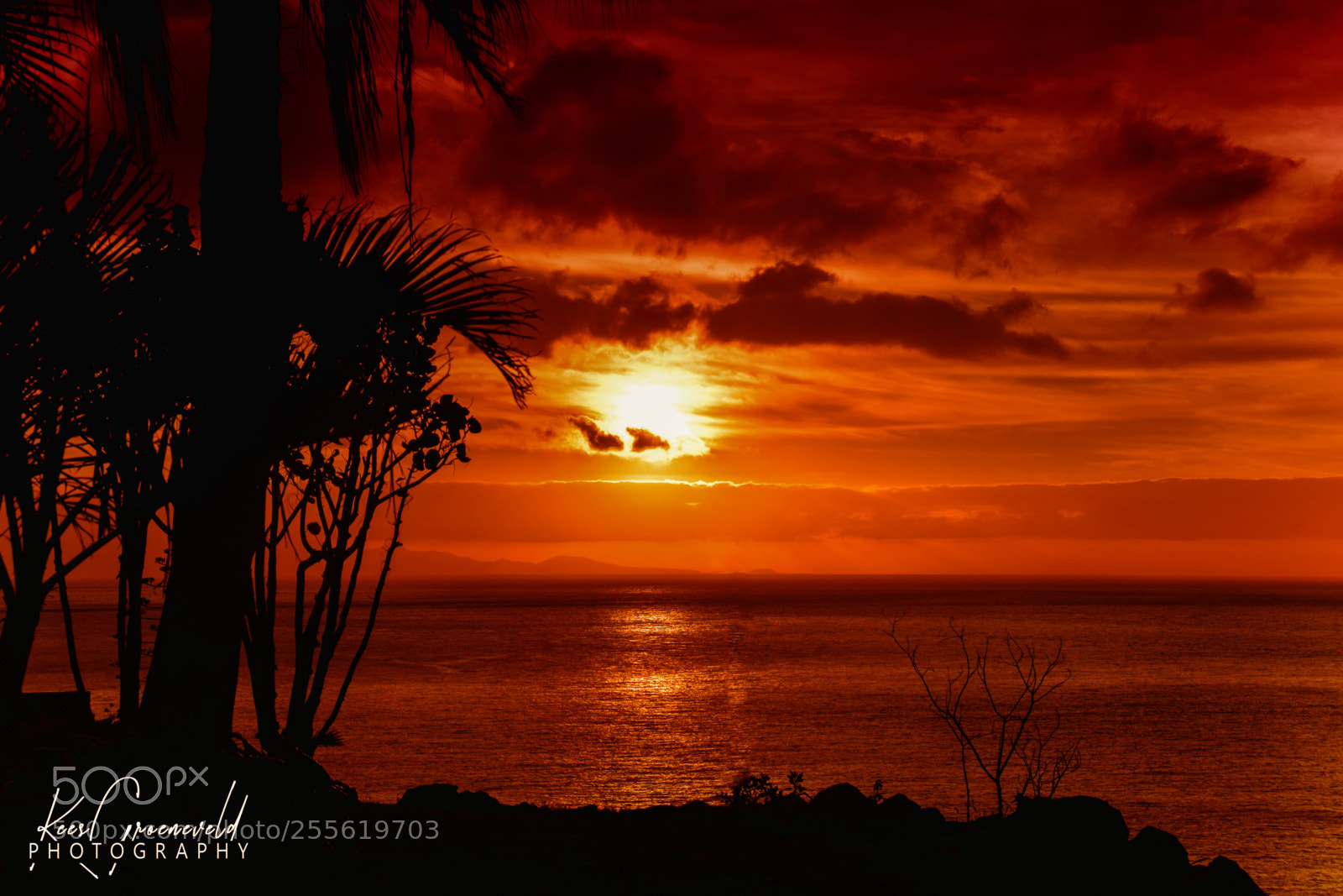 Nikon D5300 sample photo. Impressive la gomera photography