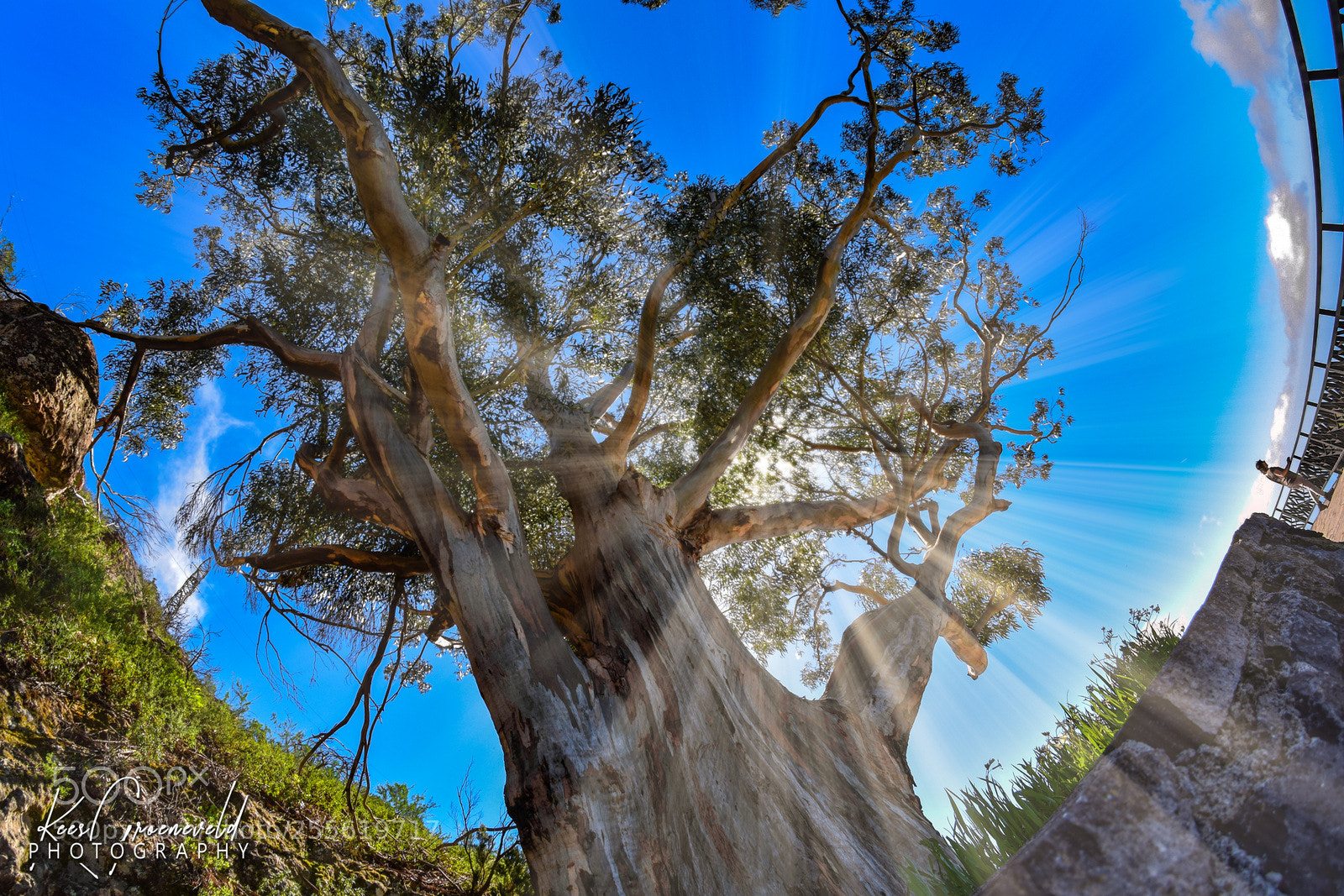 Nikon D5300 sample photo. Impressive la gomera photography