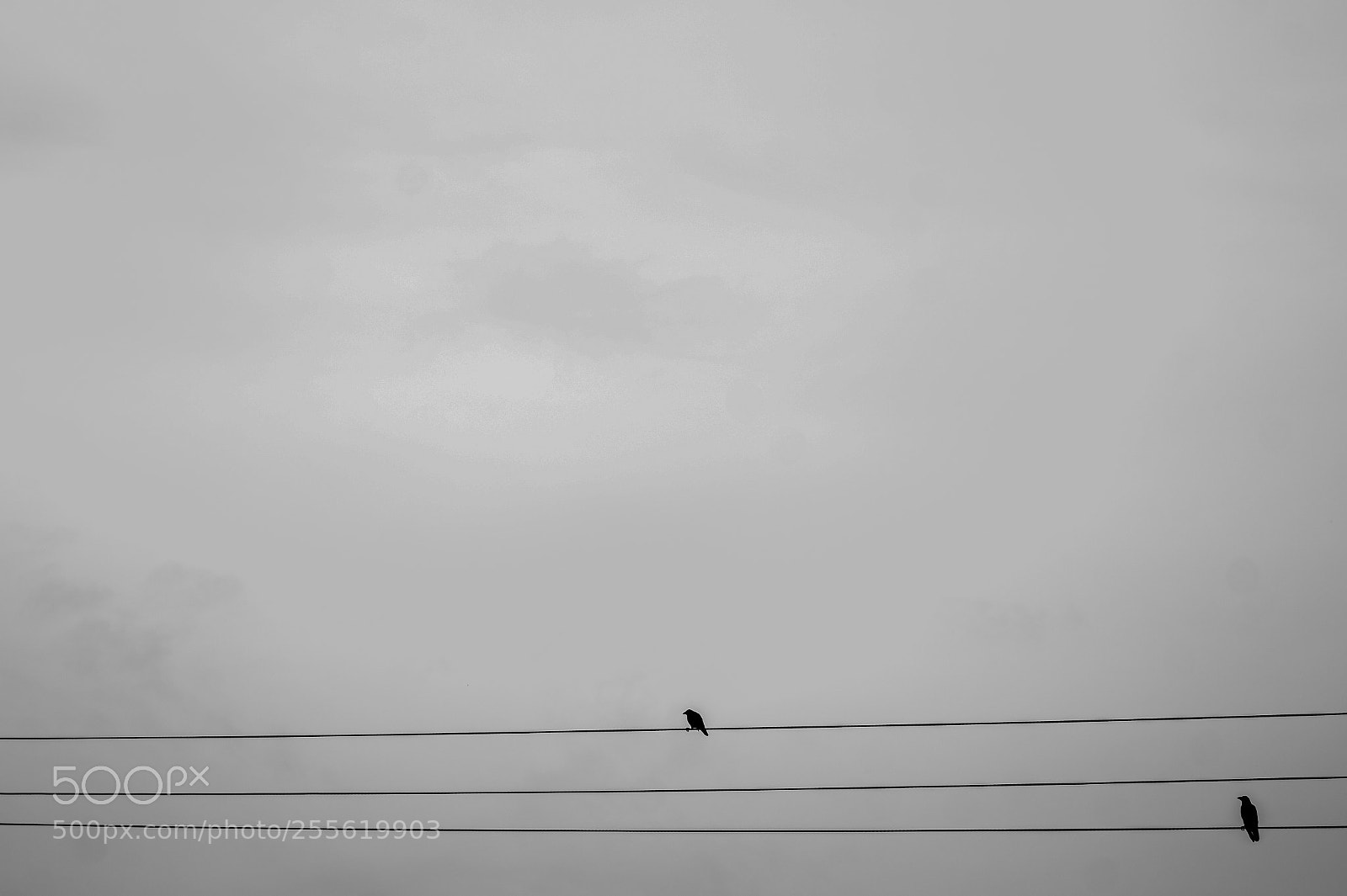 Sony Alpha a3500 sample photo. Minimal photography