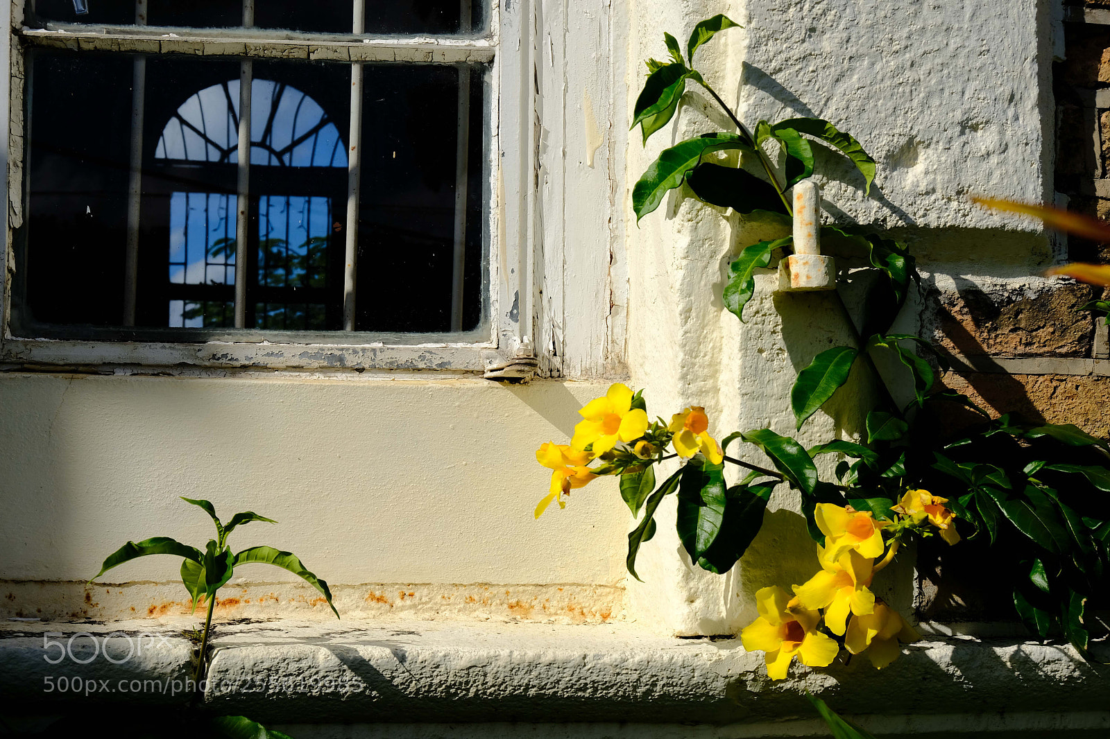 Fujifilm X-T2 sample photo. Untitled photography