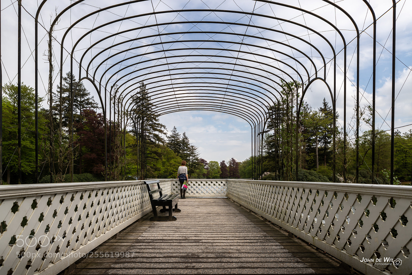 Canon EOS 6D Mark II sample photo. Lines............. photography