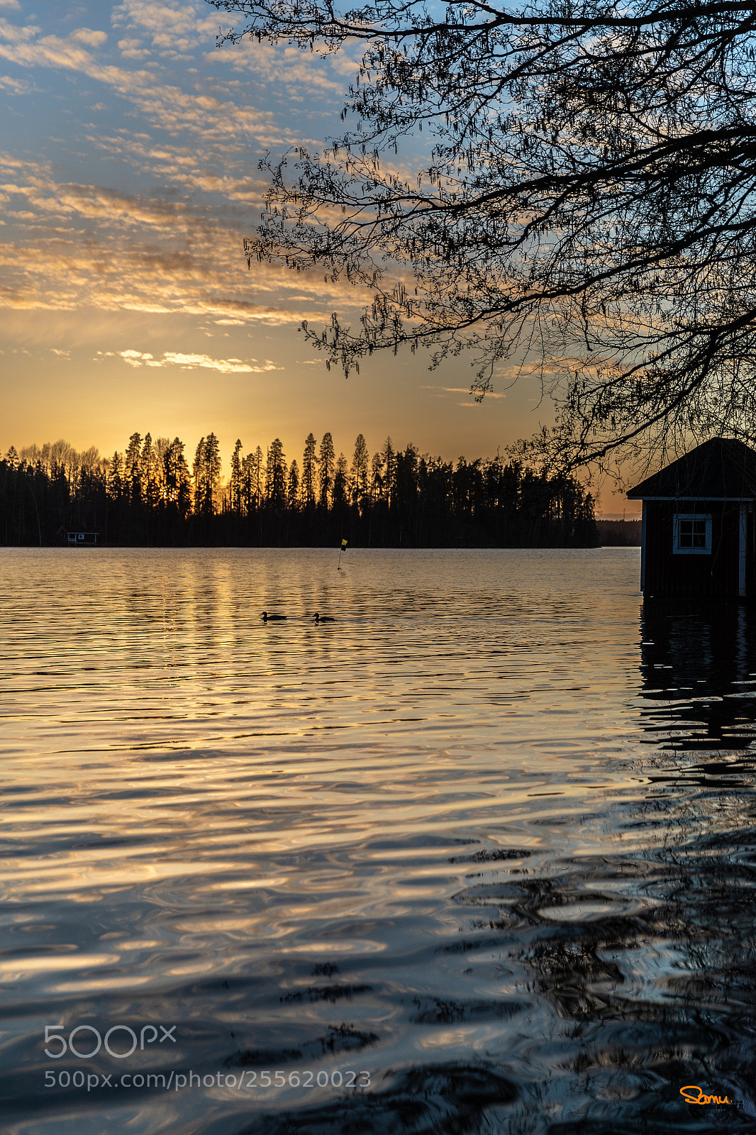 Canon EOS-1D X Mark II sample photo. Lake tuusula 4 photography
