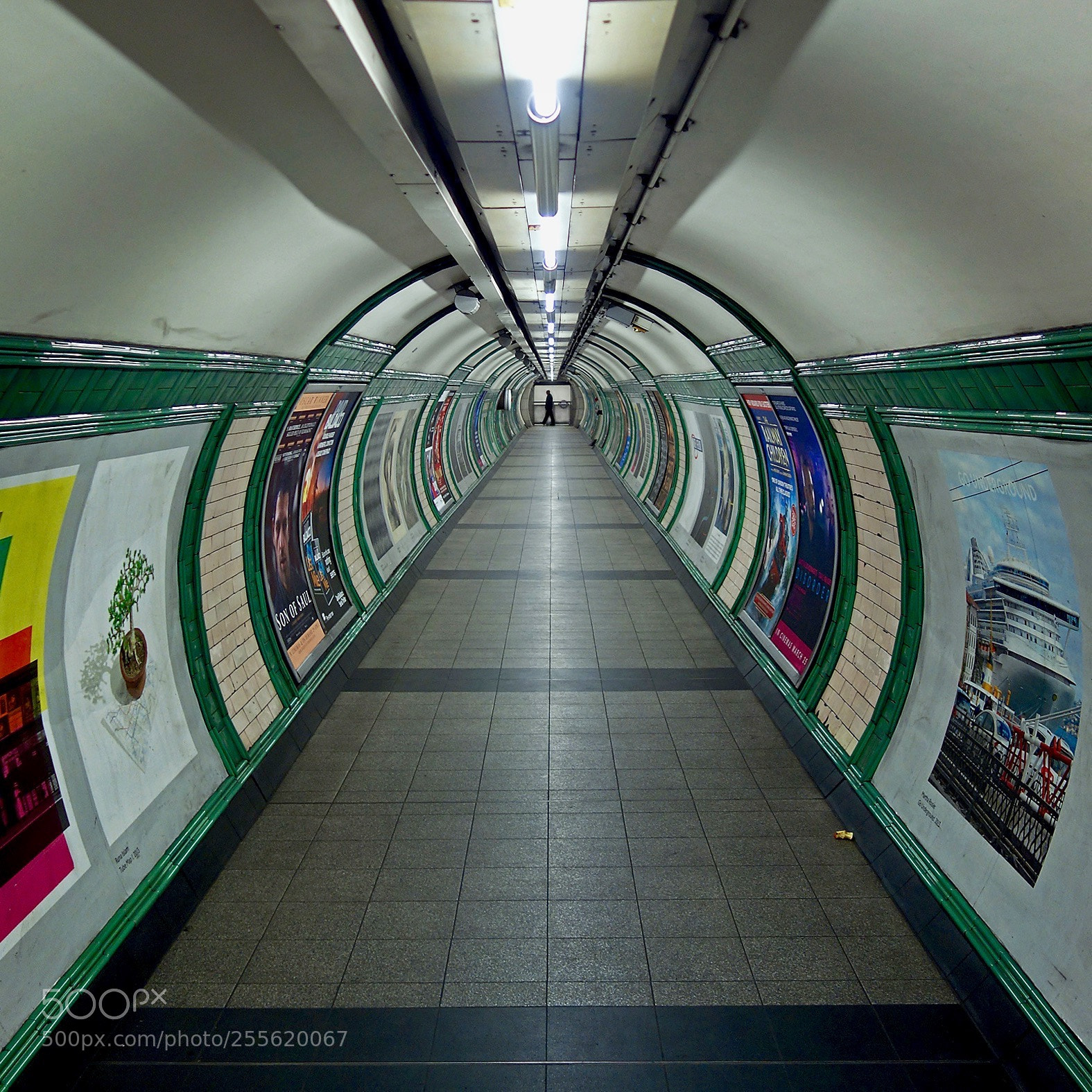 Sony Cyber-shot DSC-RX100 sample photo. Tube  photography