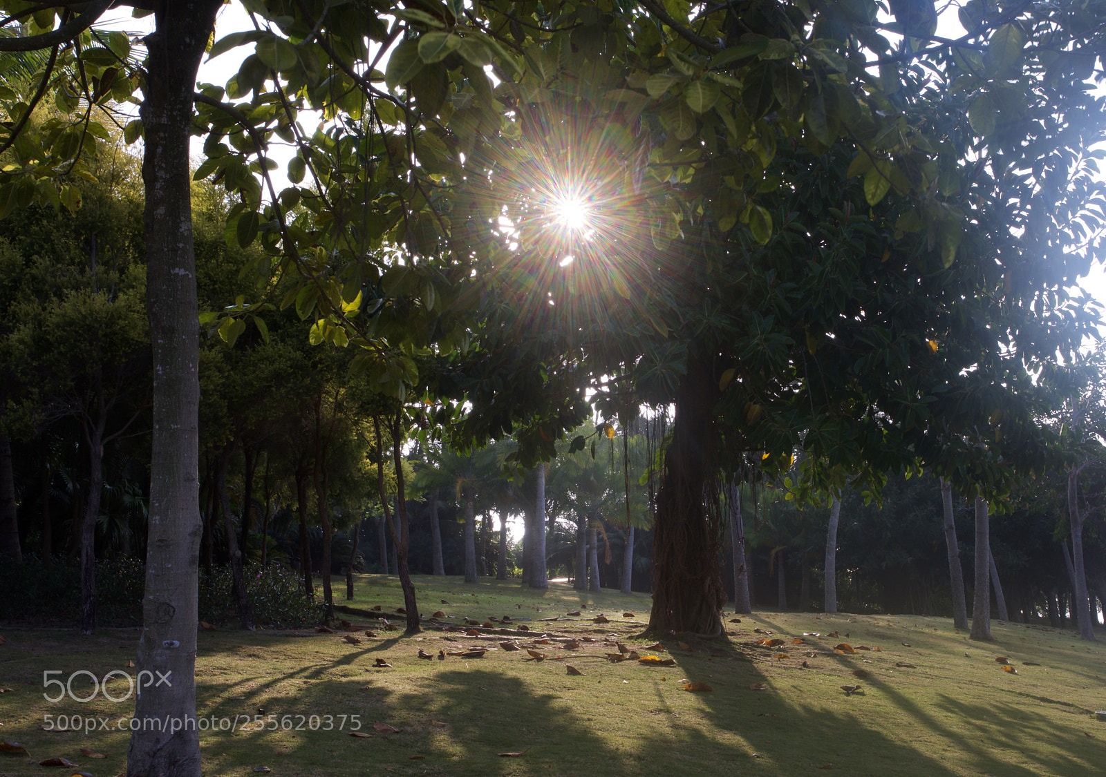 Nikon D7200 sample photo. Ray of hope photography