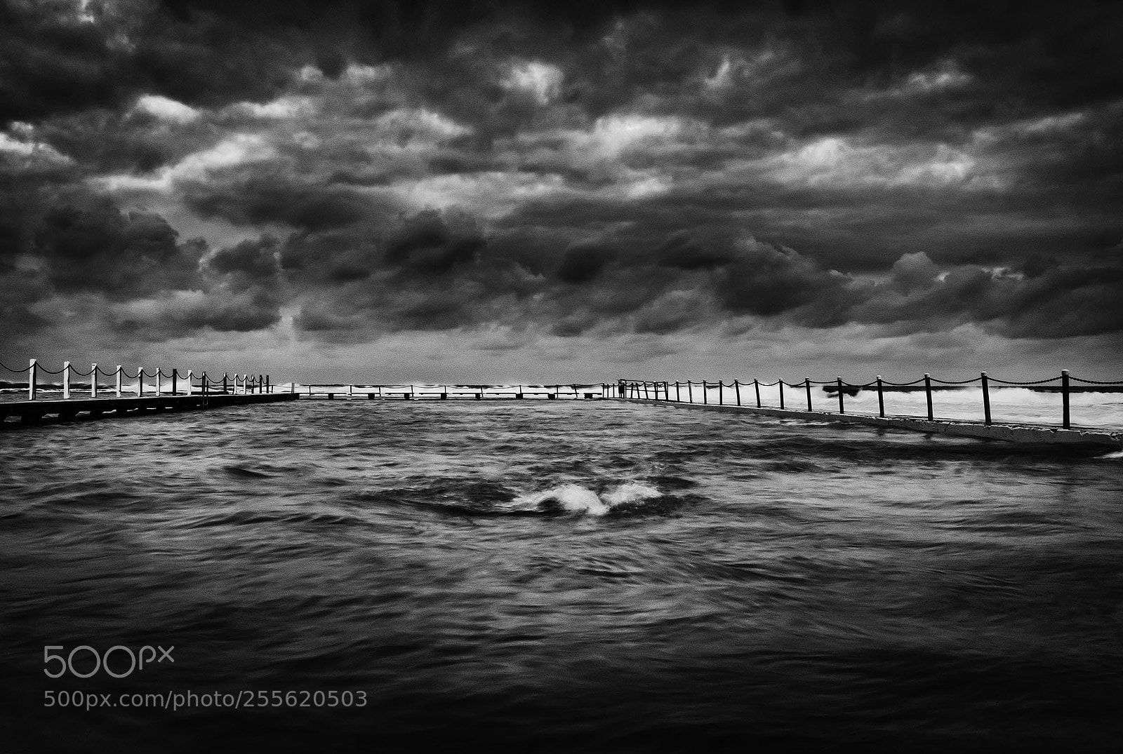 Nikon D850 sample photo. Swimming against the storm photography