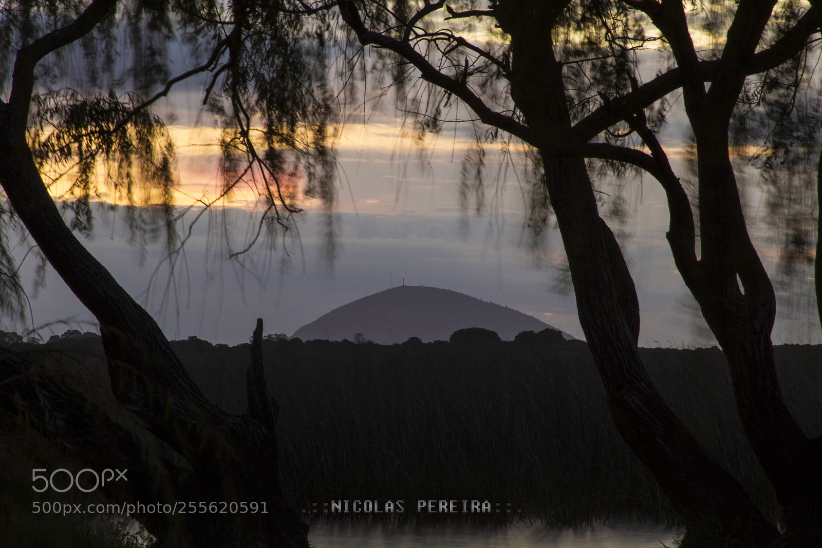 Canon EOS 7D sample photo. Img photography