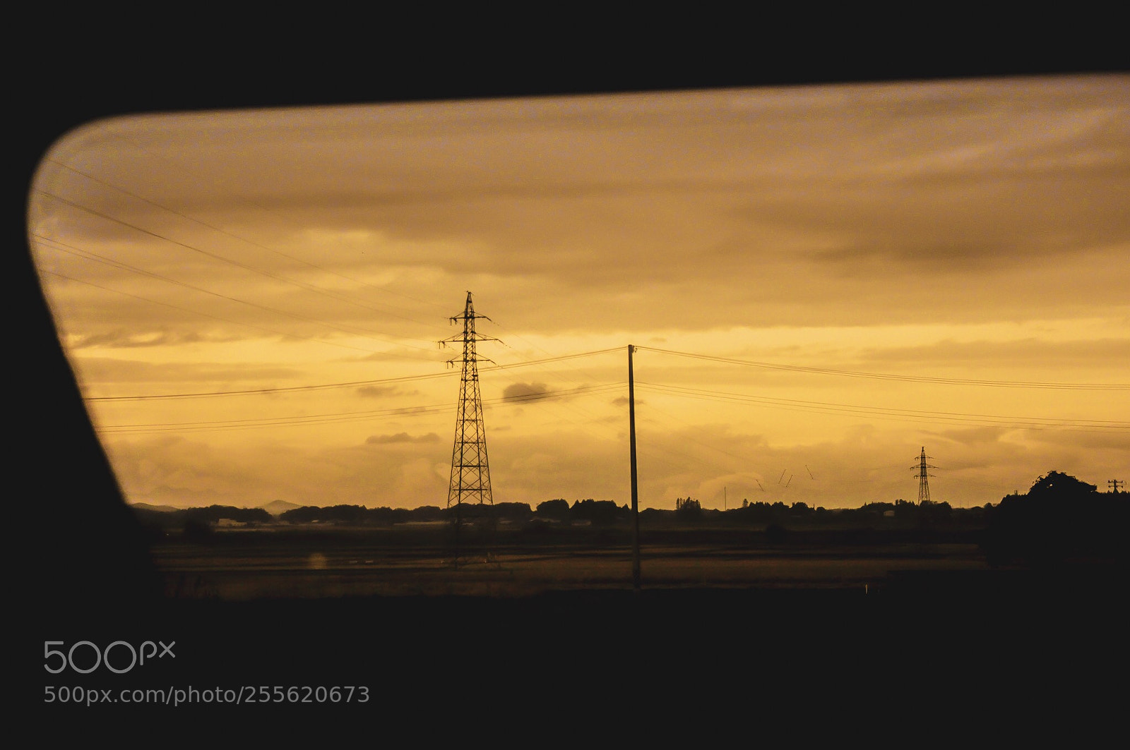 Nikon D90 sample photo. 010 photography