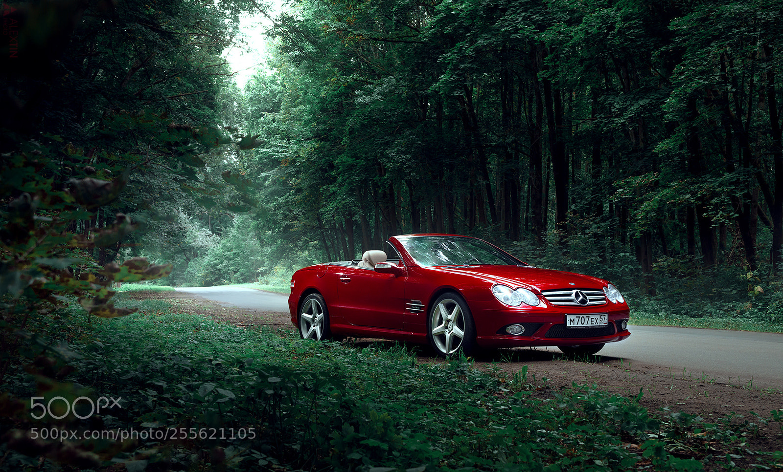 Nikon D600 sample photo. Mercedes-benz sl600 photography