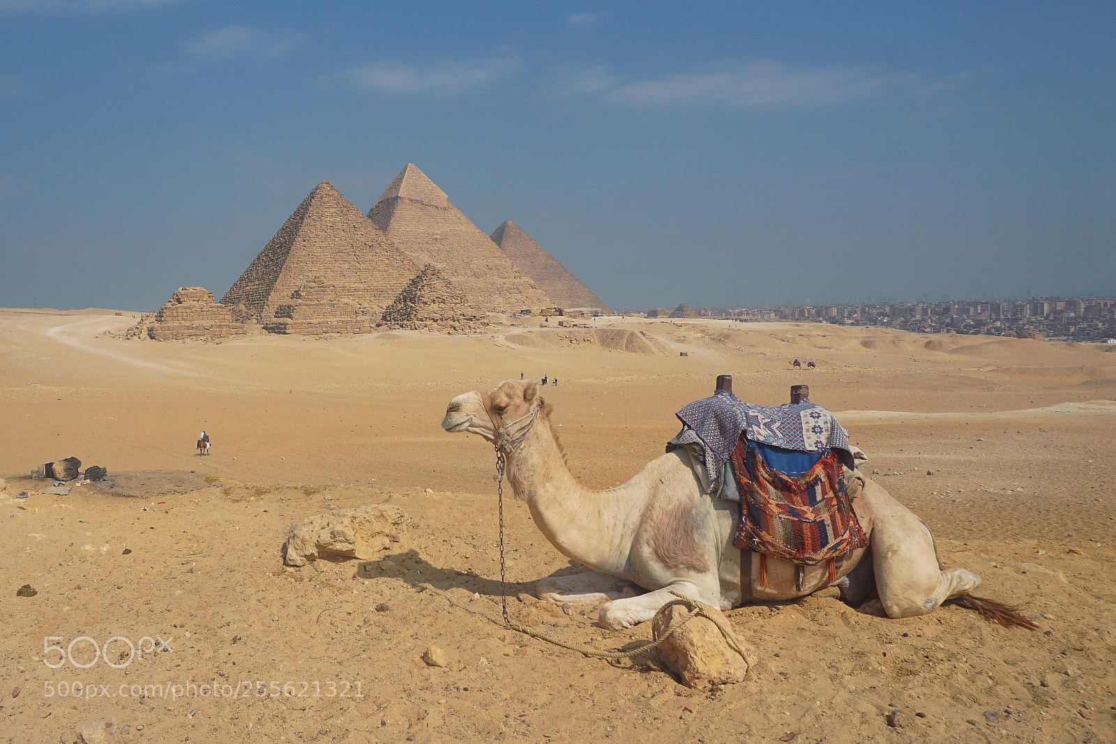 Canon EOS 700D (EOS Rebel T5i / EOS Kiss X7i) sample photo. Pyramids panorama with camel photography