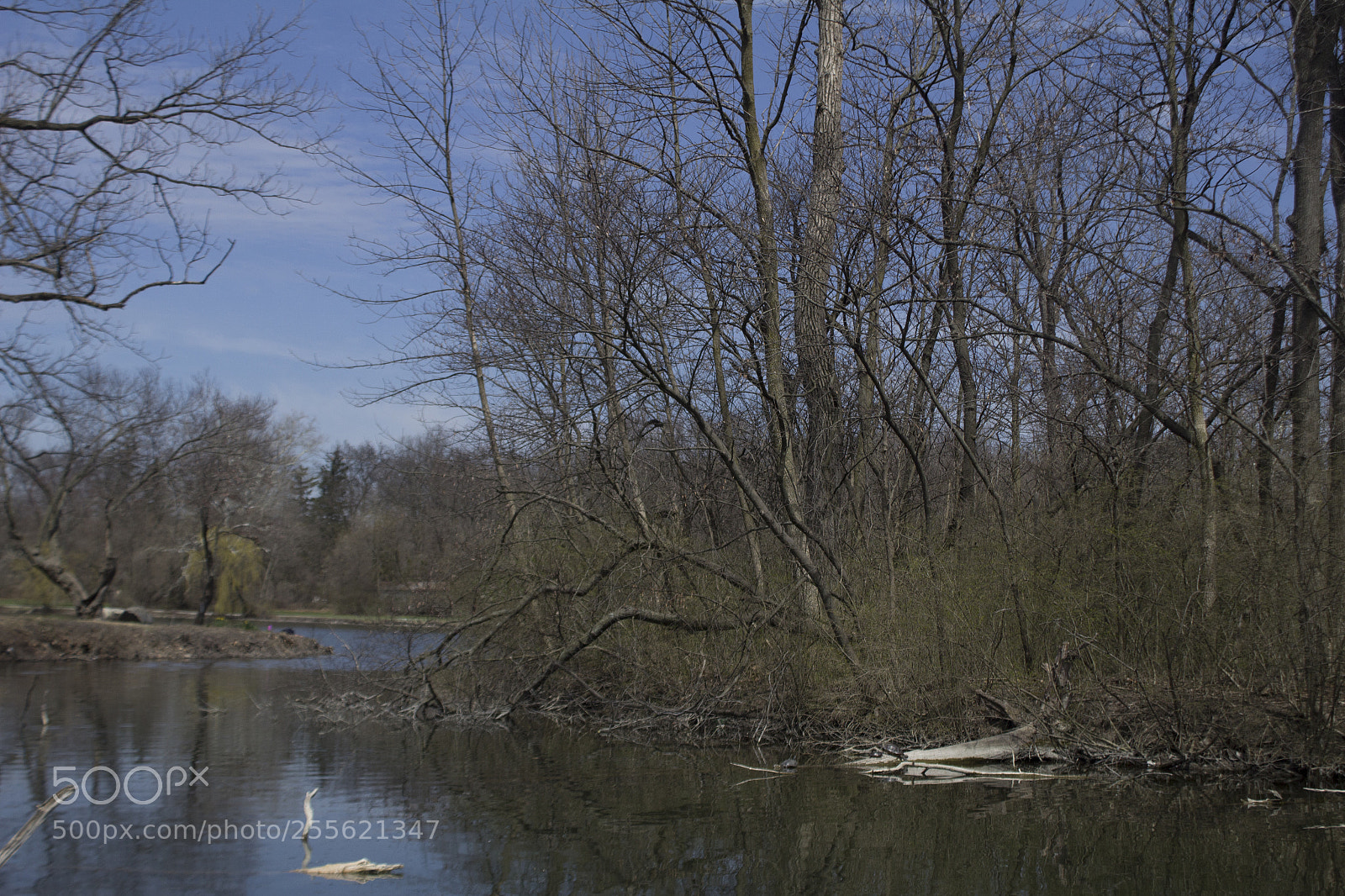 Canon EOS 1200D (EOS Rebel T5 / EOS Kiss X70 / EOS Hi) sample photo. Lake scenery and trees. photography