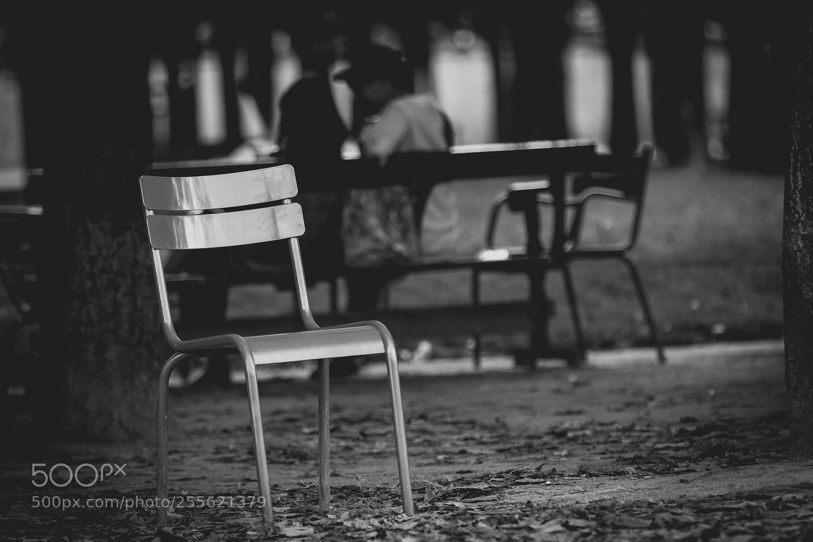 Canon EOS 70D sample photo. Metal garden chair in photography