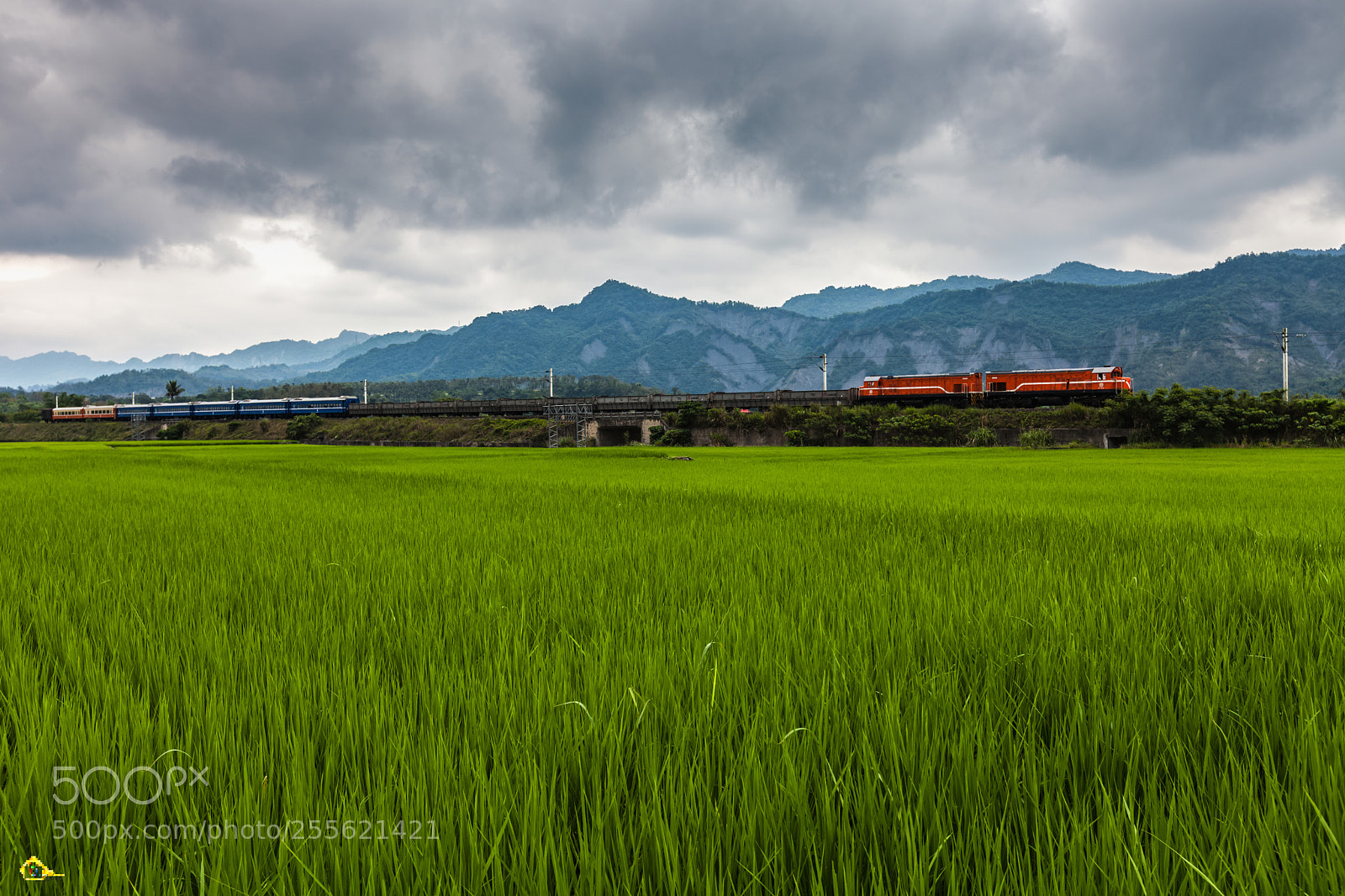 Canon EOS 5D Mark II sample photo. 雲哥說 ：最近天氣不是挺好 拍個修身養性就好 photography