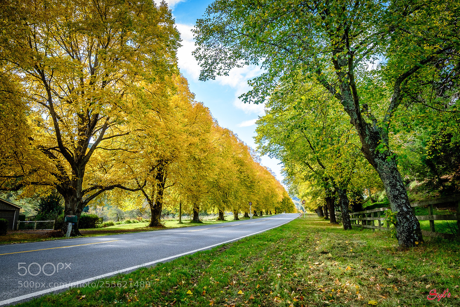 Fujifilm X-T1 sample photo. Autumn color photography