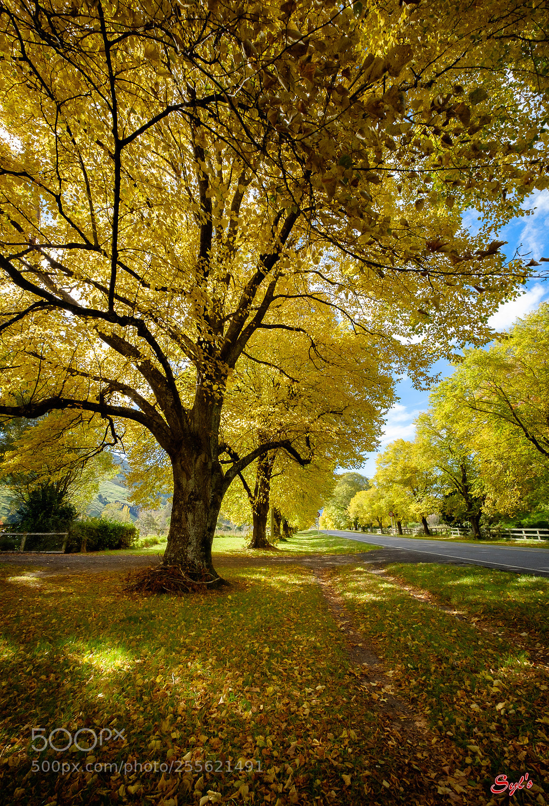 Fujifilm X-T1 sample photo. Autumn color photography