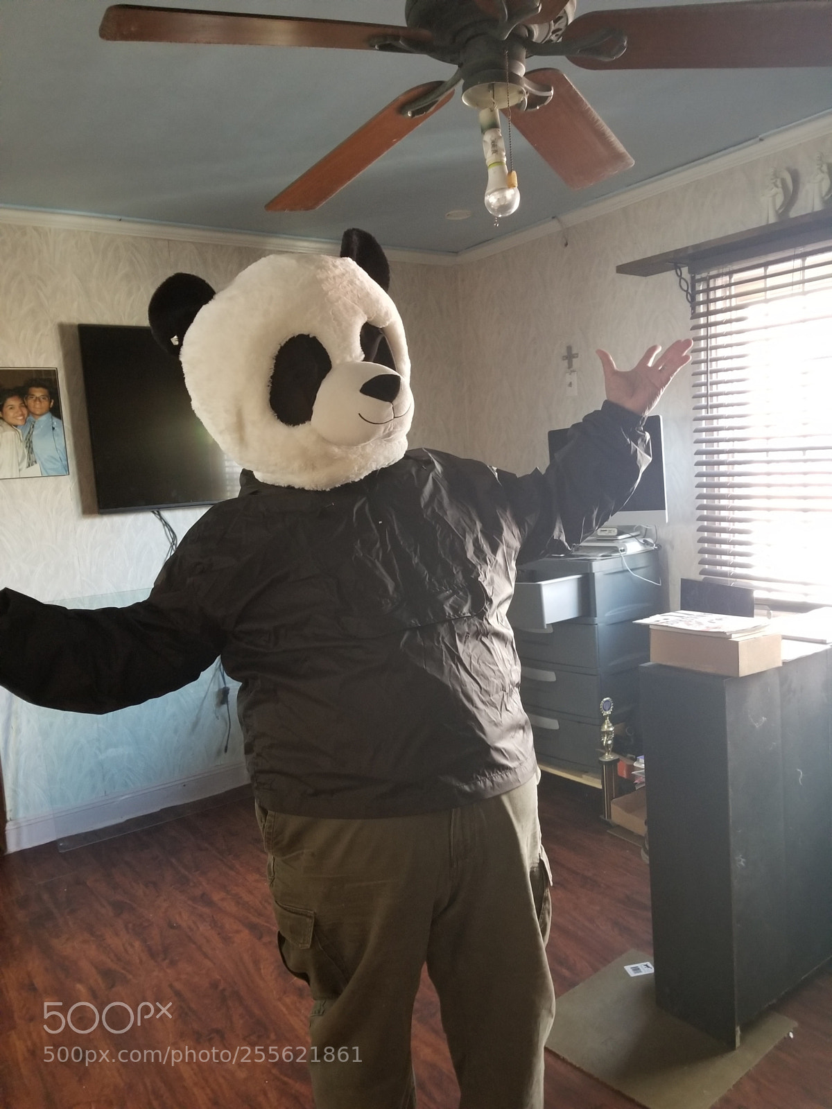 Samsung Galaxy S8+ sample photo. Who is this person ? photography
