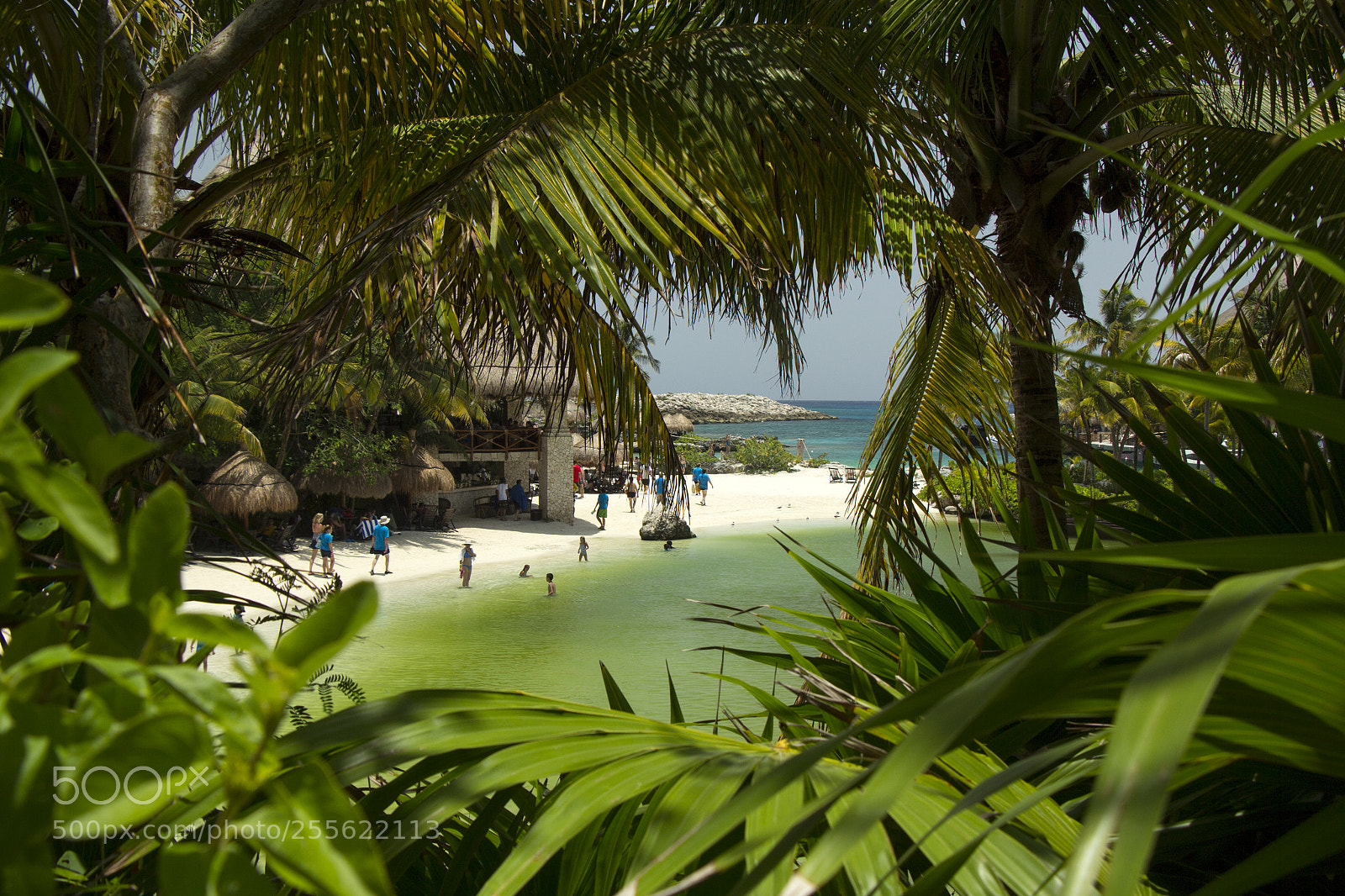 Canon EOS 60D sample photo. Xcaret, playa del carmen photography