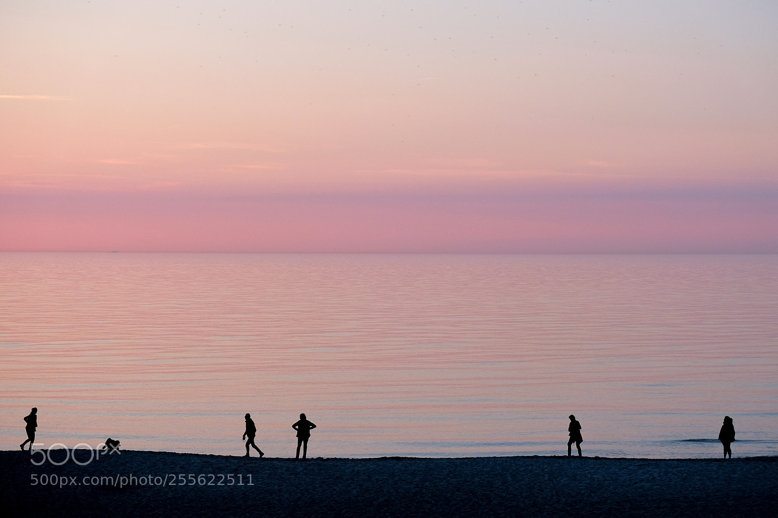 Fujifilm X-T2 sample photo. Silhouettes photography