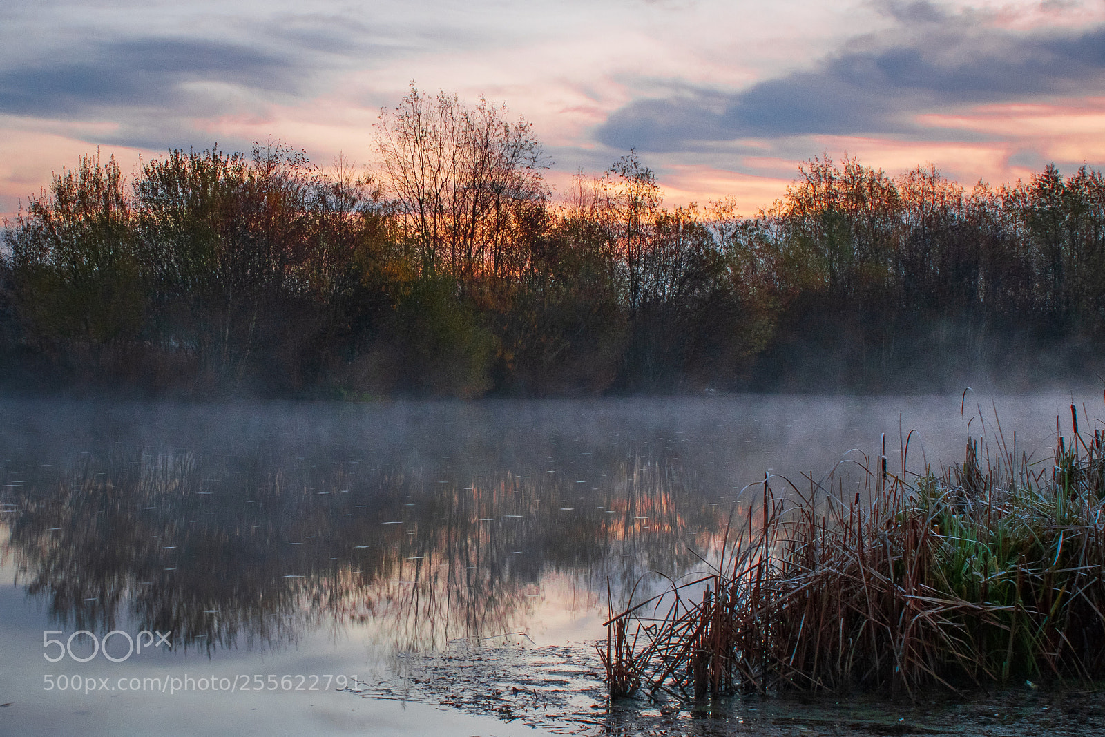 Nikon D3300 sample photo. Autumn dawn photography