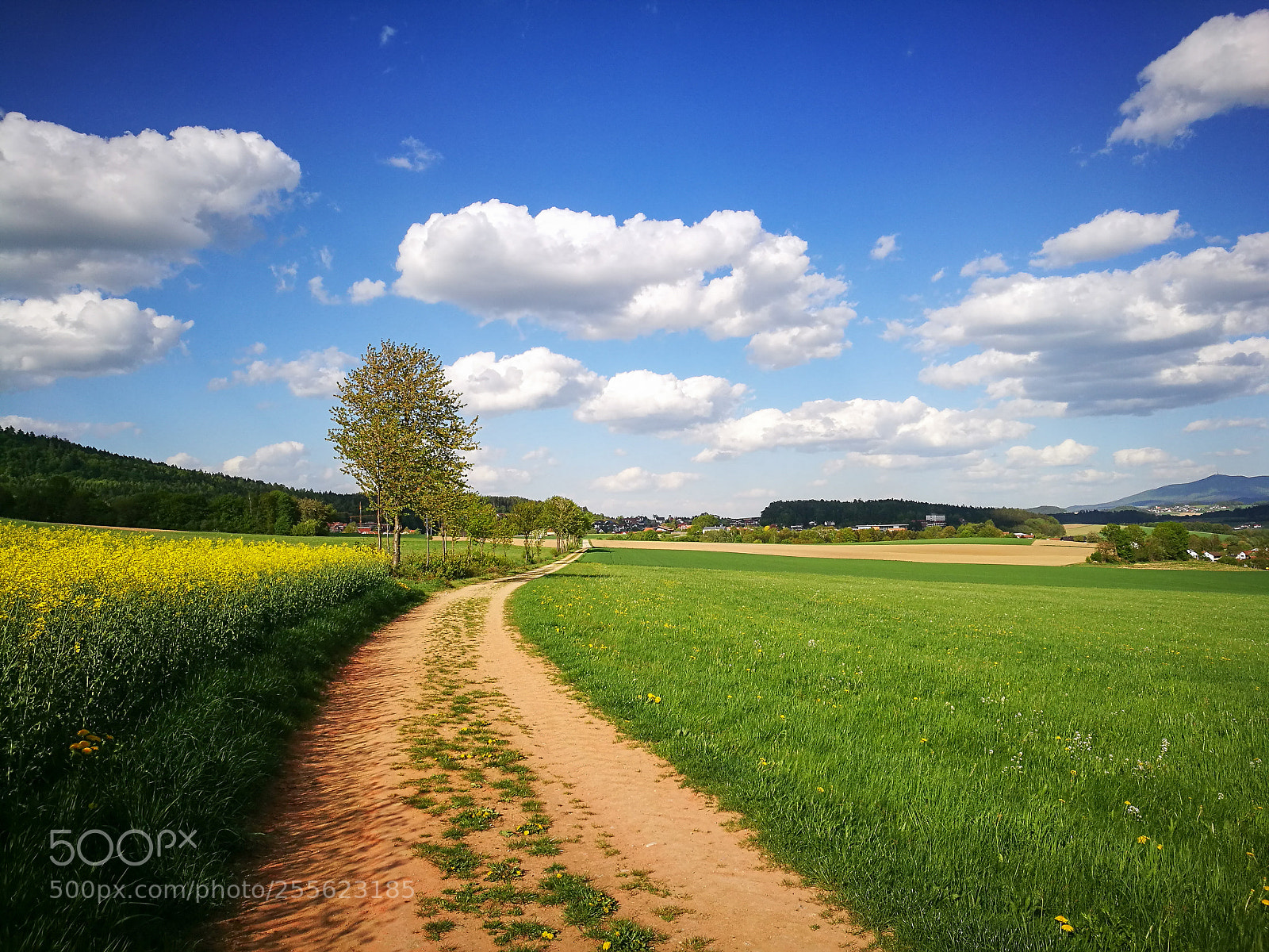 HUAWEI P9 sample photo. Wandern im bayerischen wald photography