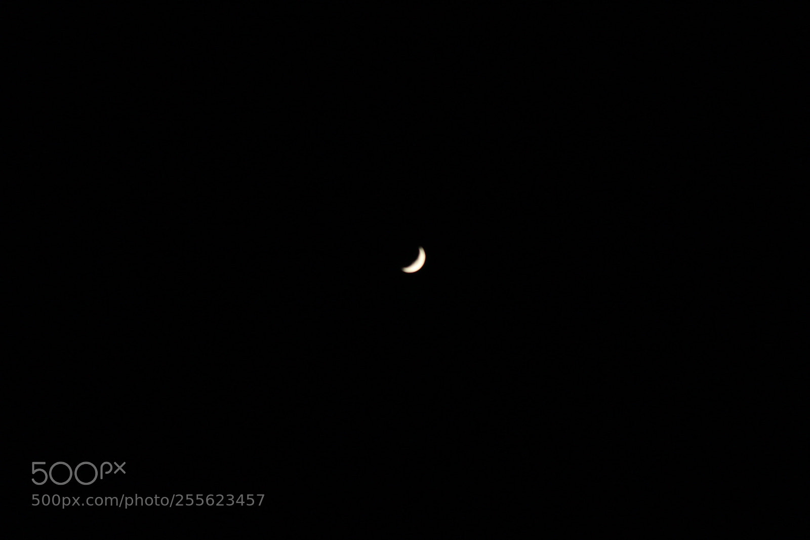 Canon EOS 60D sample photo. Untitled photography