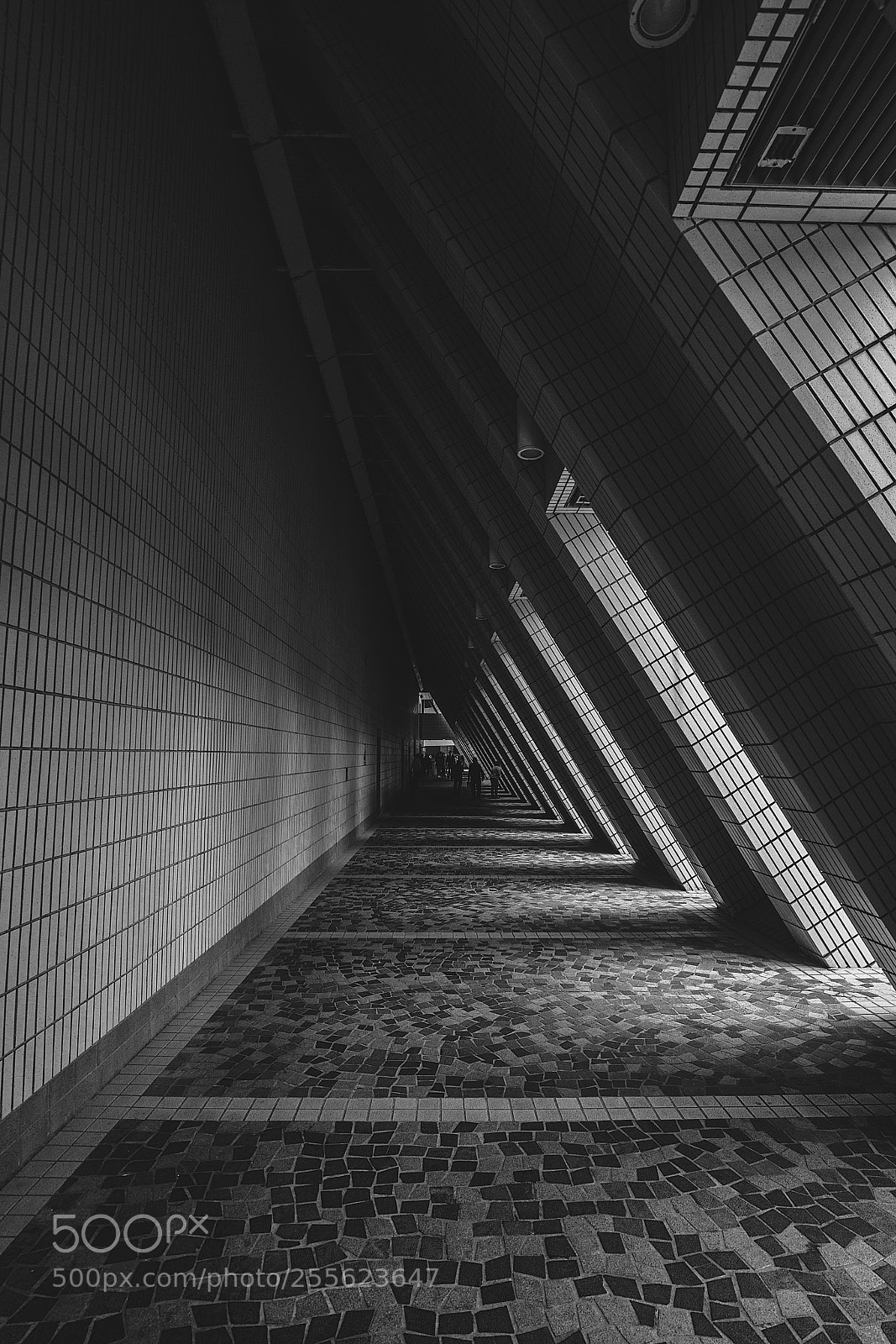 Sony a7R II sample photo. Tunnel photography