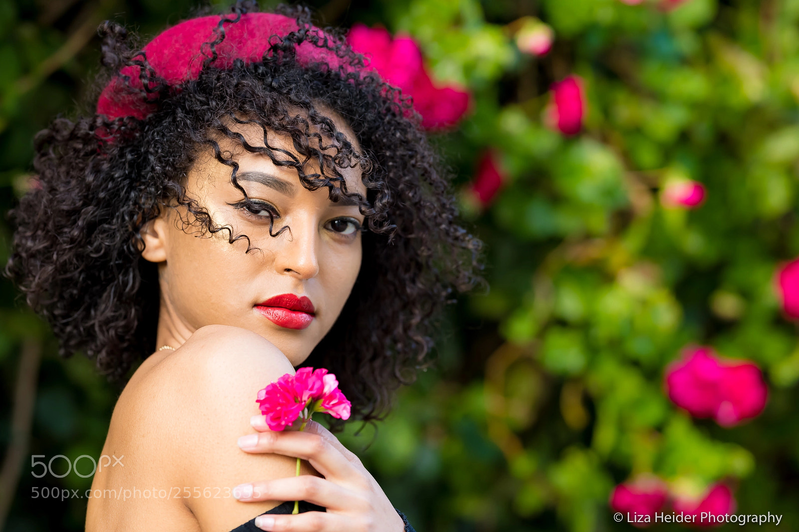 Nikon D850 sample photo. Spring has sprung shameika photography