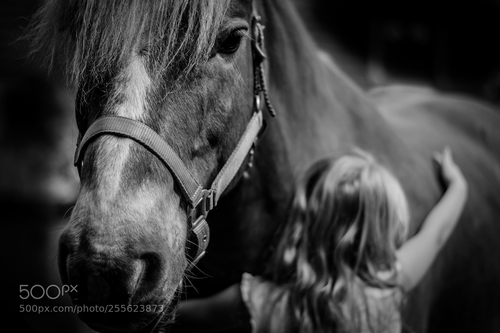 Nikon D3100 sample photo. Deep trust photography