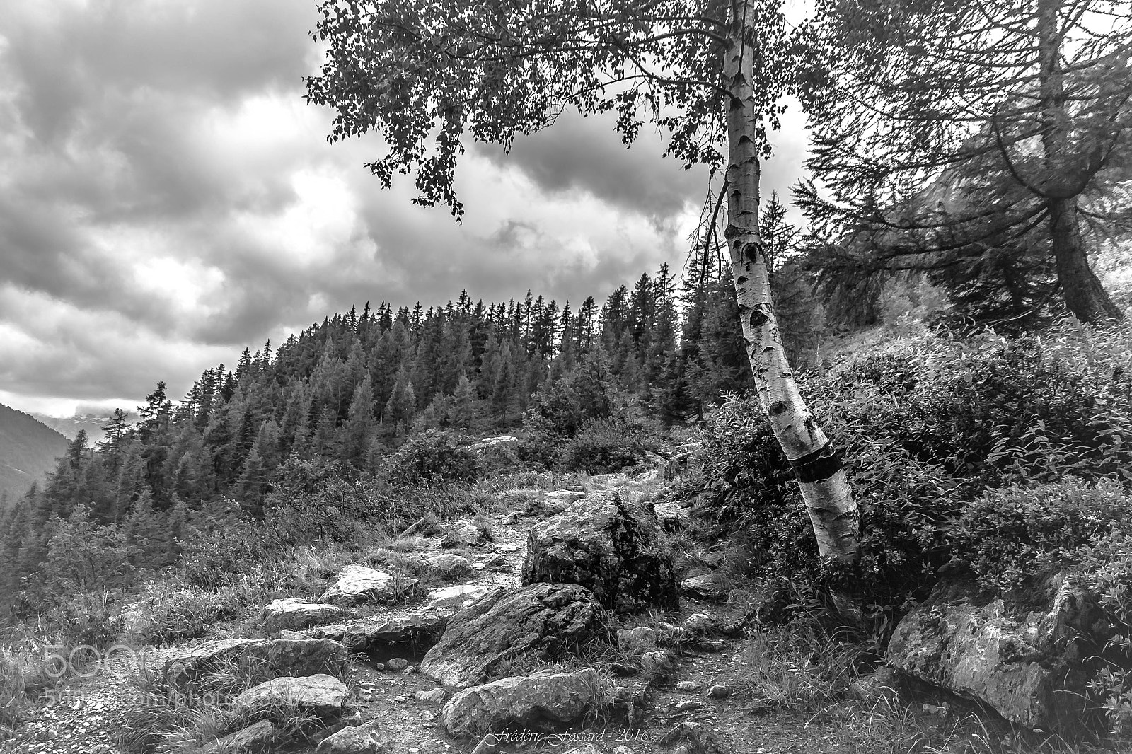 Canon EOS 70D sample photo. Peaceful path photography