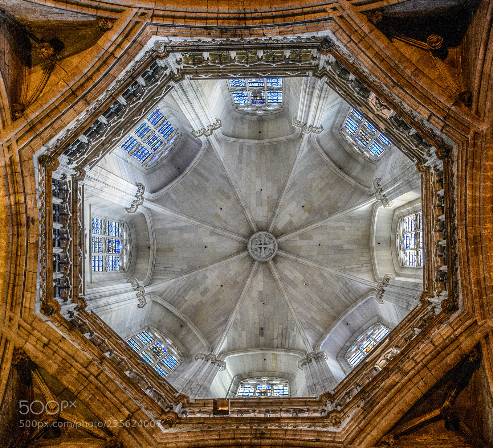 Nikon D850 sample photo. Inside the dome of photography