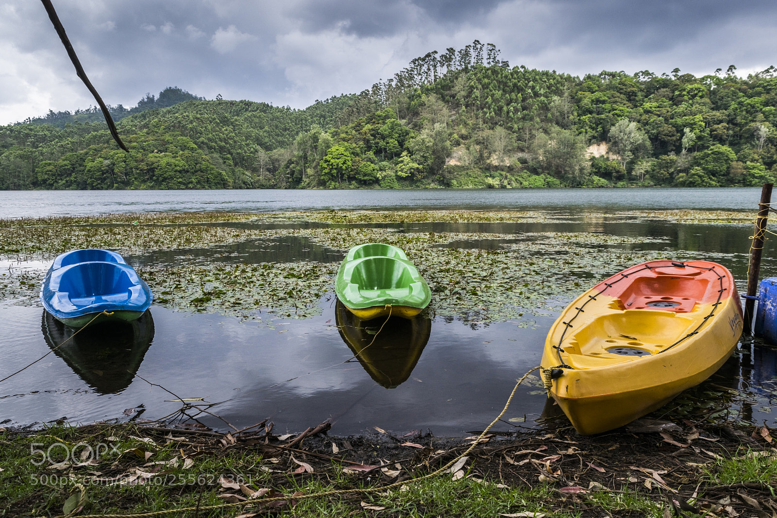 Nikon D5300 sample photo. Three boats photography