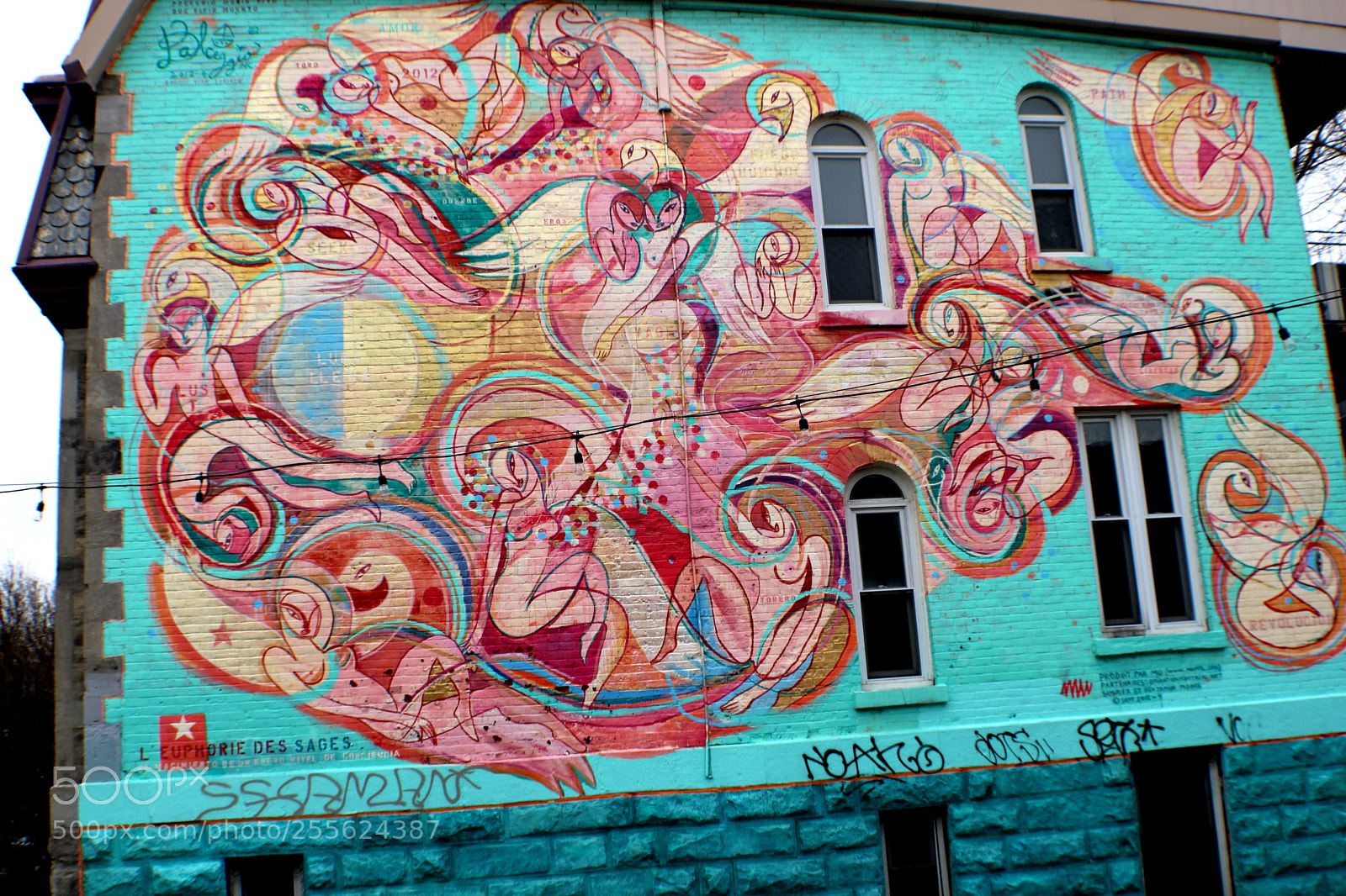 Canon EOS 750D (EOS Rebel T6i / EOS Kiss X8i) sample photo. Street art 1 photography