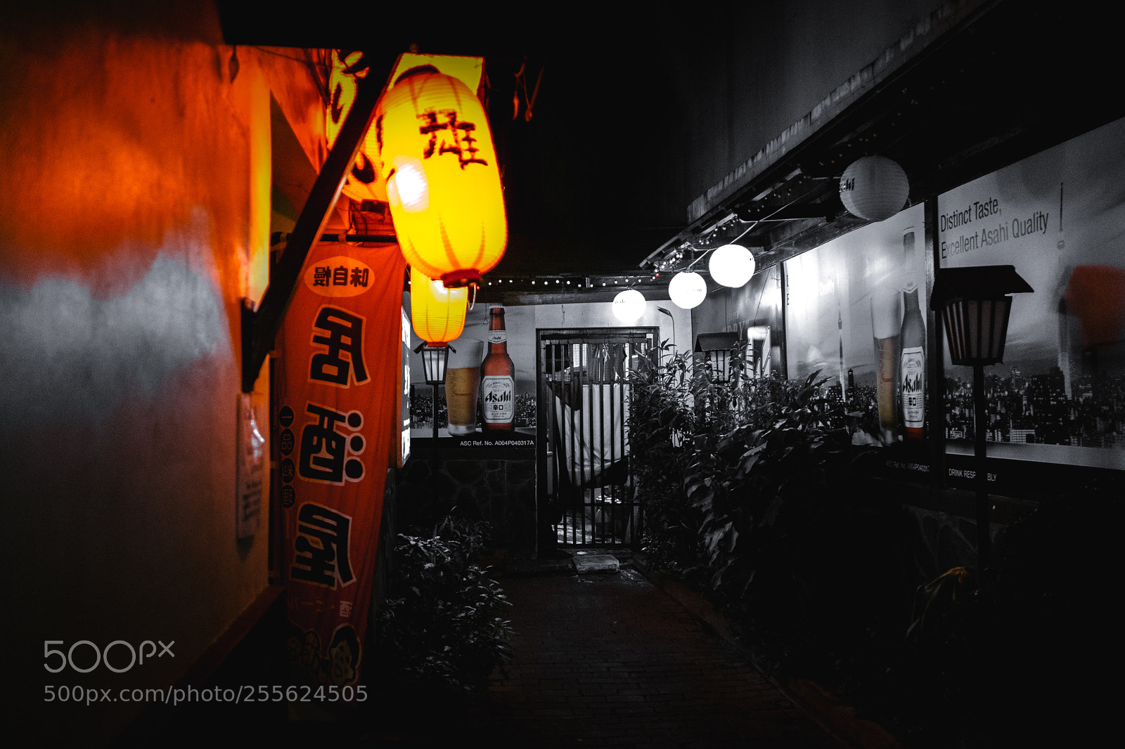 Fujifilm X-T20 sample photo. Take me to japan photography