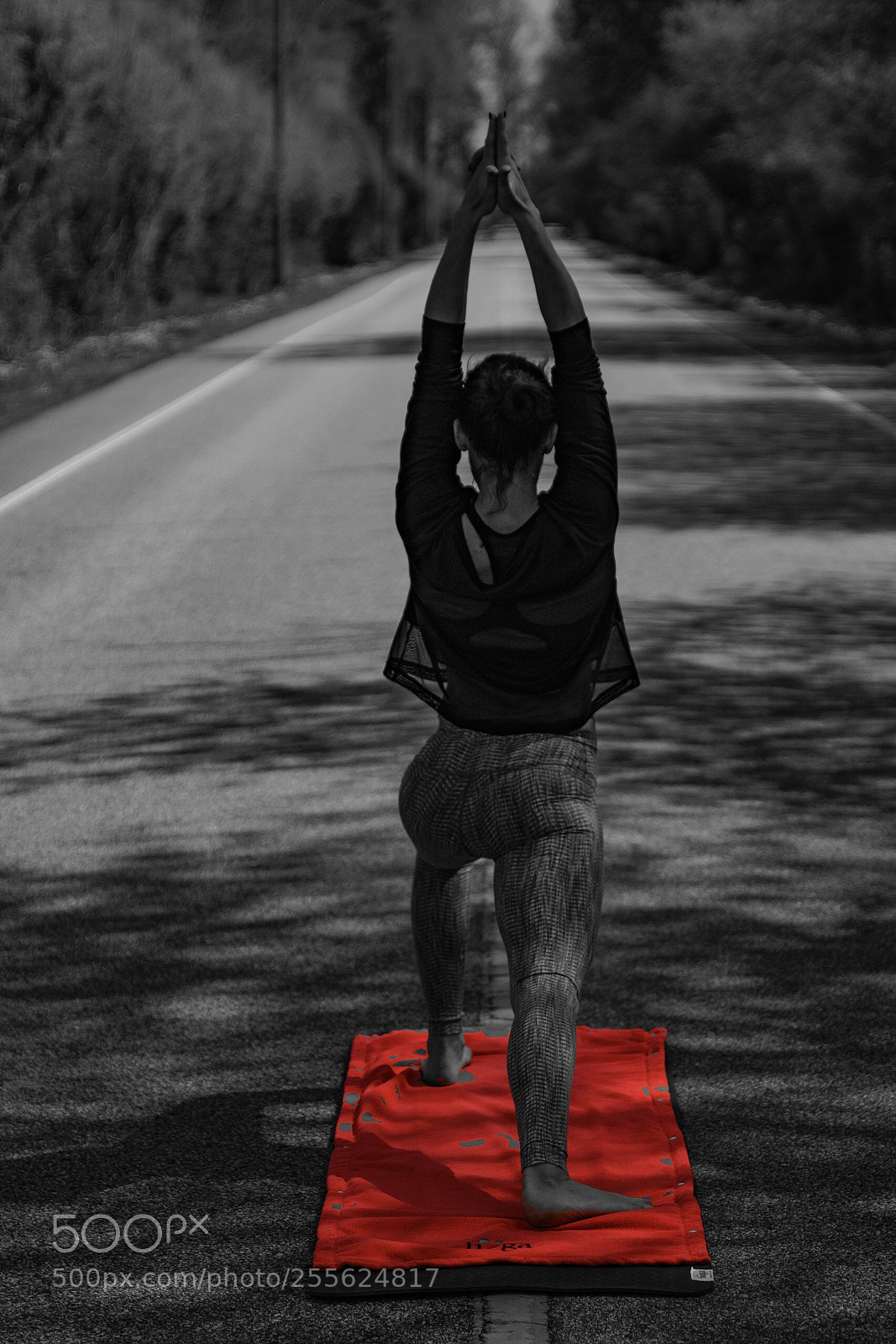 Sony a7R II sample photo. Middle of the road  photography