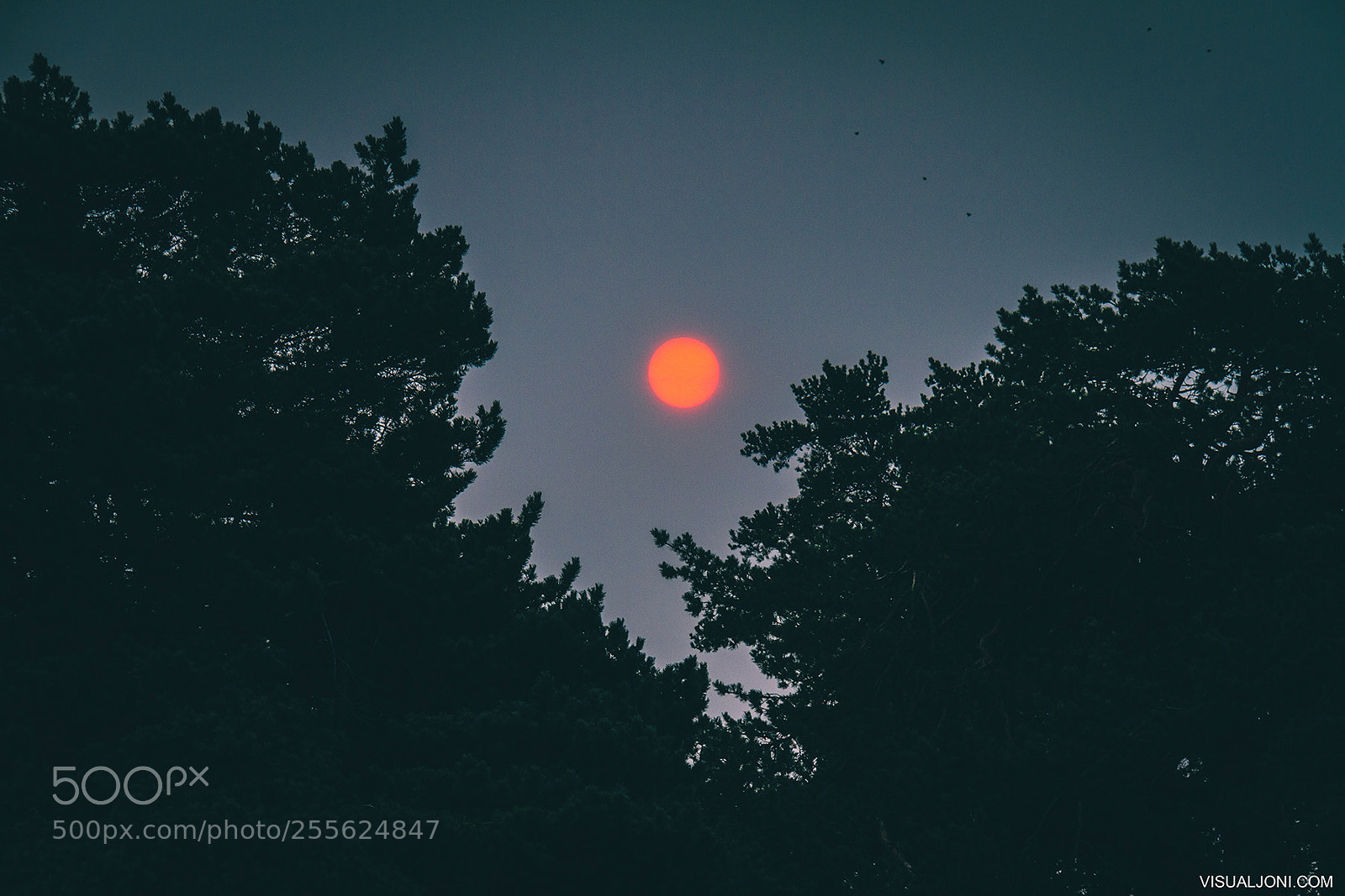 Canon EOS 7D sample photo. Blood sun photography