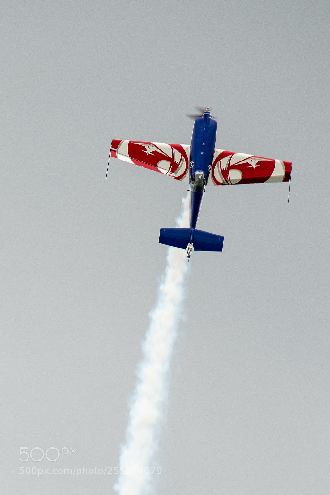 Nikon D500 sample photo. Hung on the sky photography