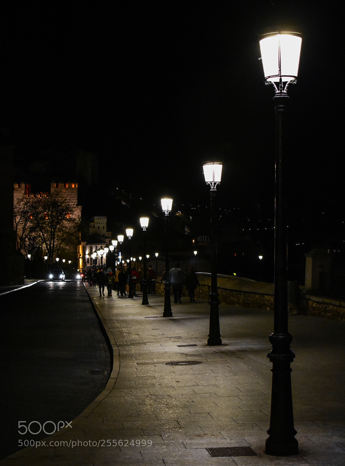 Nikon D3400 sample photo. One behind the other photography