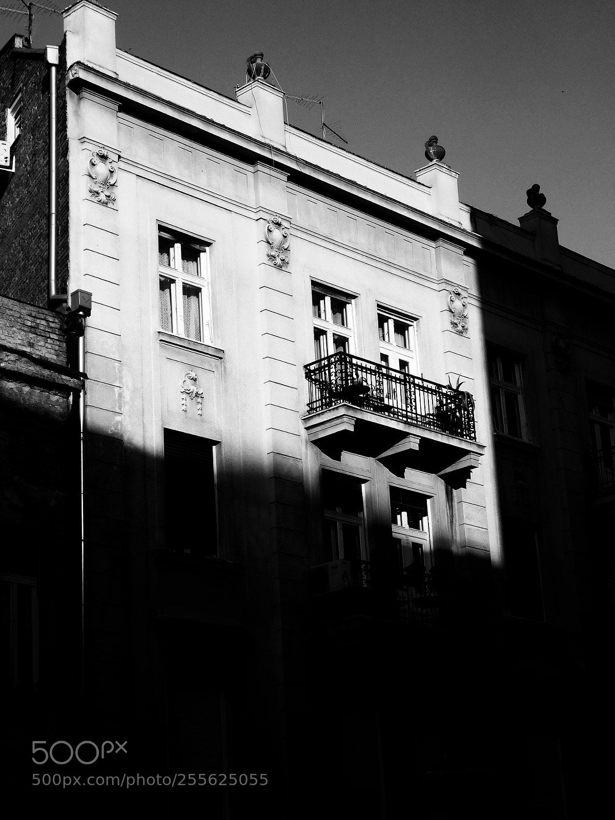 Nikon Coolpix B500 sample photo. White & black photography