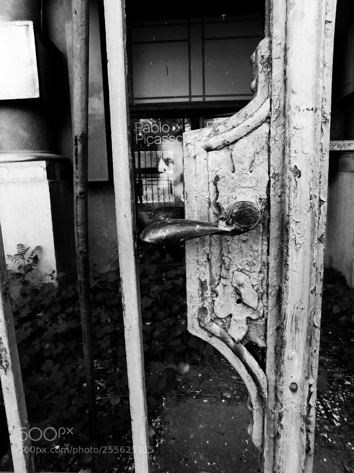 Nikon Coolpix B500 sample photo. Pablo pikaso photography