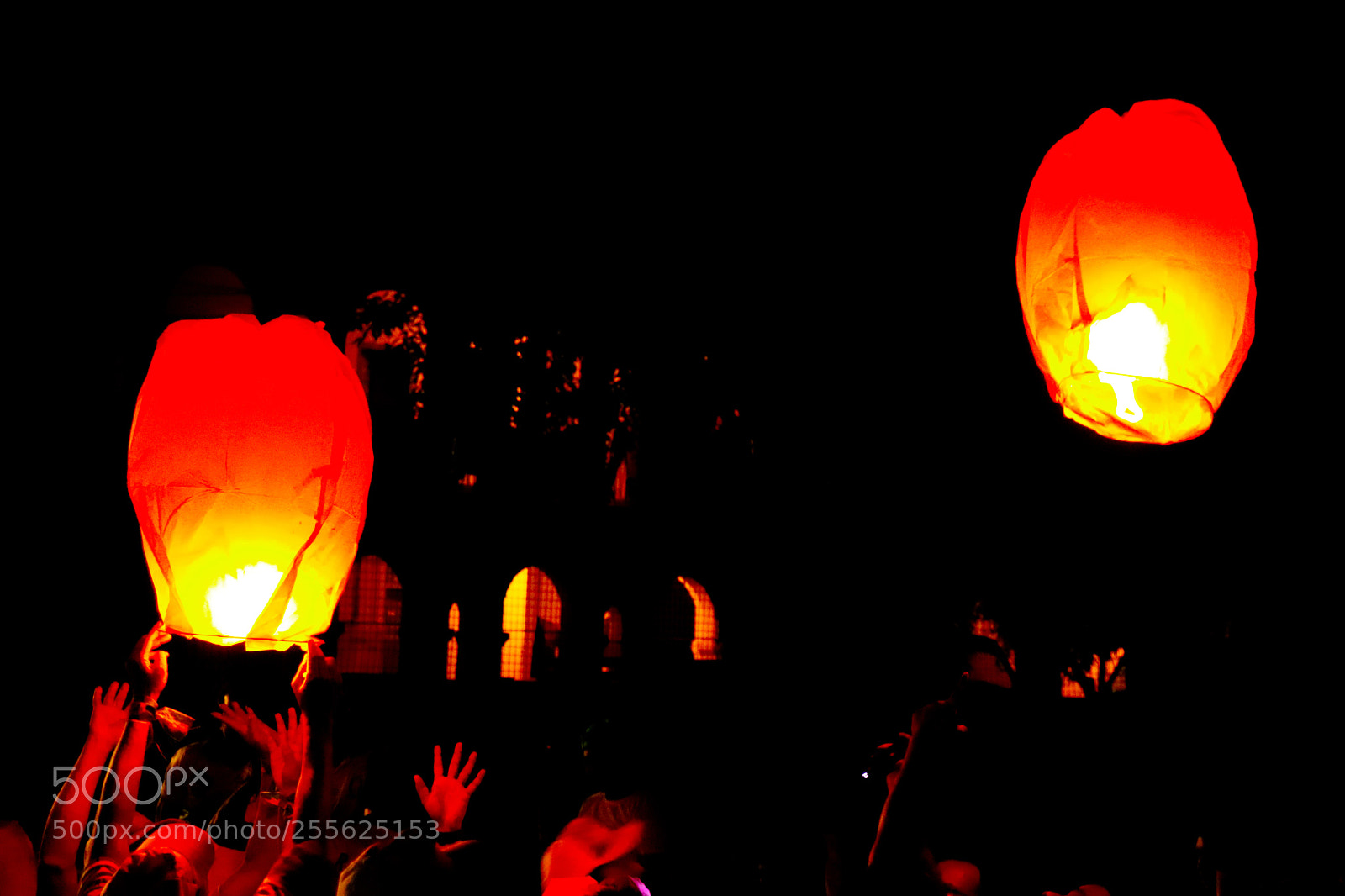 Canon EOS 77D (EOS 9000D / EOS 770D) sample photo. Joy of life photography