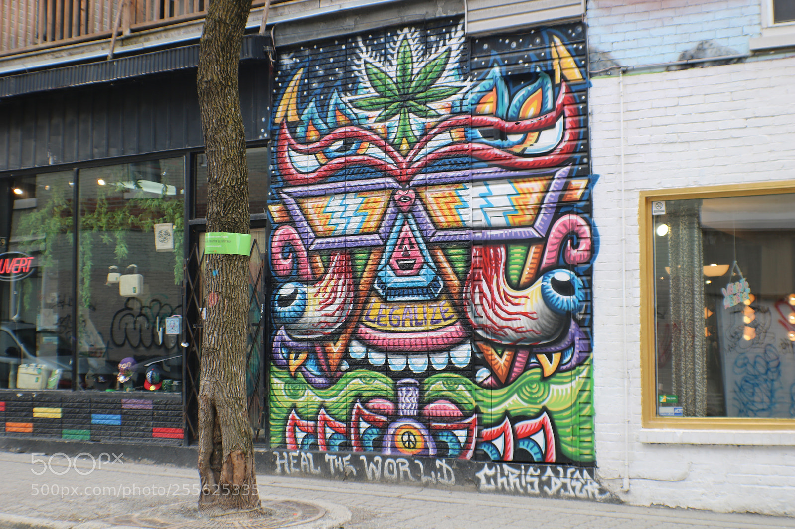 Canon EOS 750D (EOS Rebel T6i / EOS Kiss X8i) sample photo. Street art 5 photography