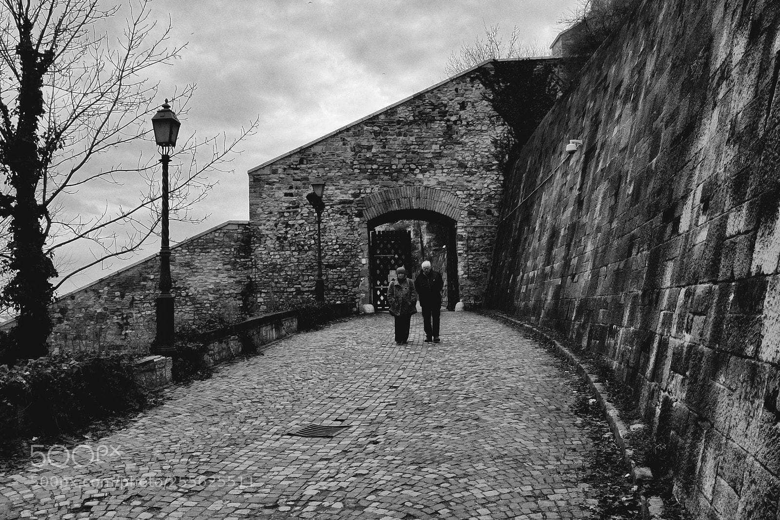 Fujifilm X10 sample photo. Hand by hand photography