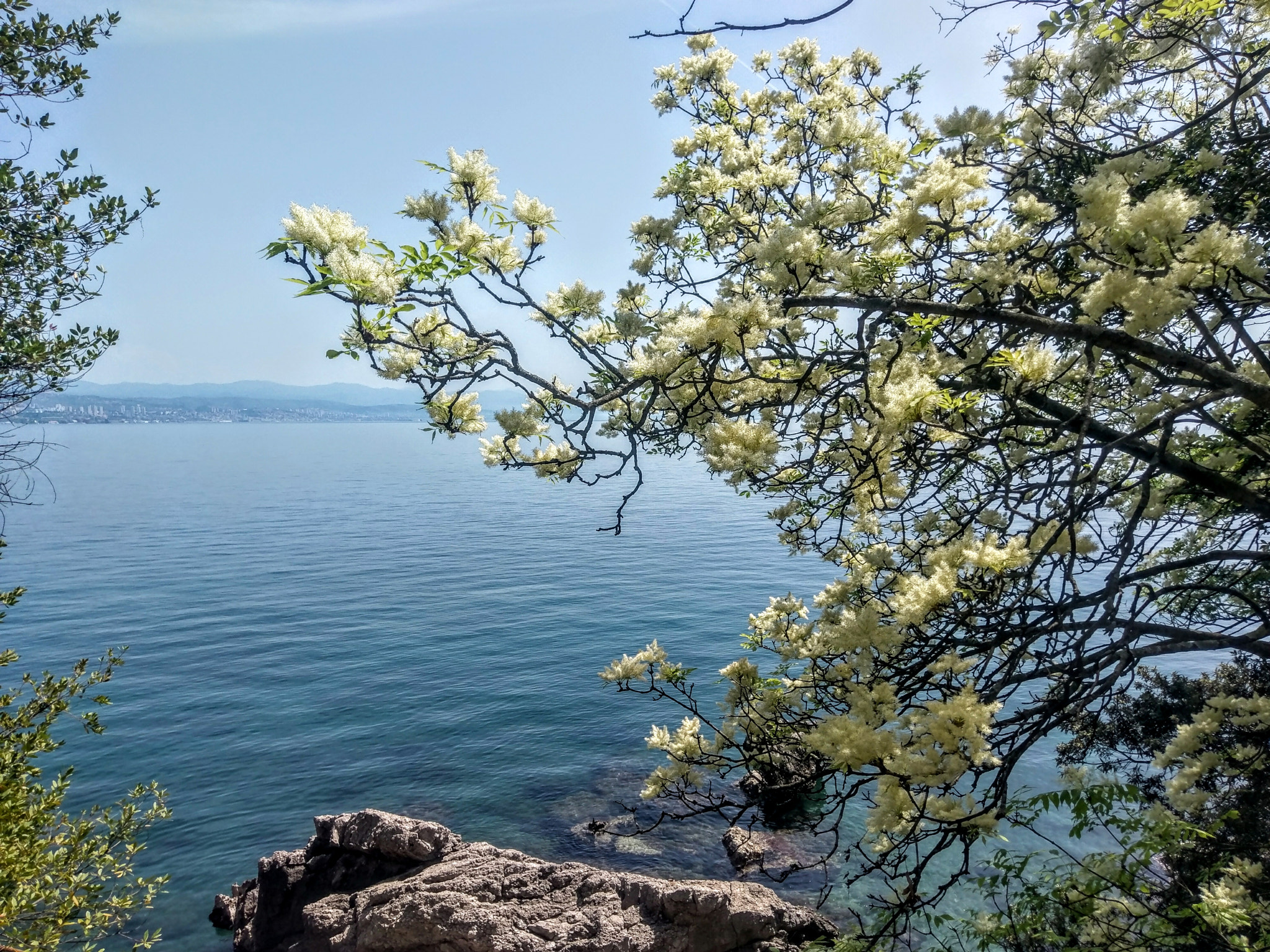 HTC 10 sample photo. Spring photography