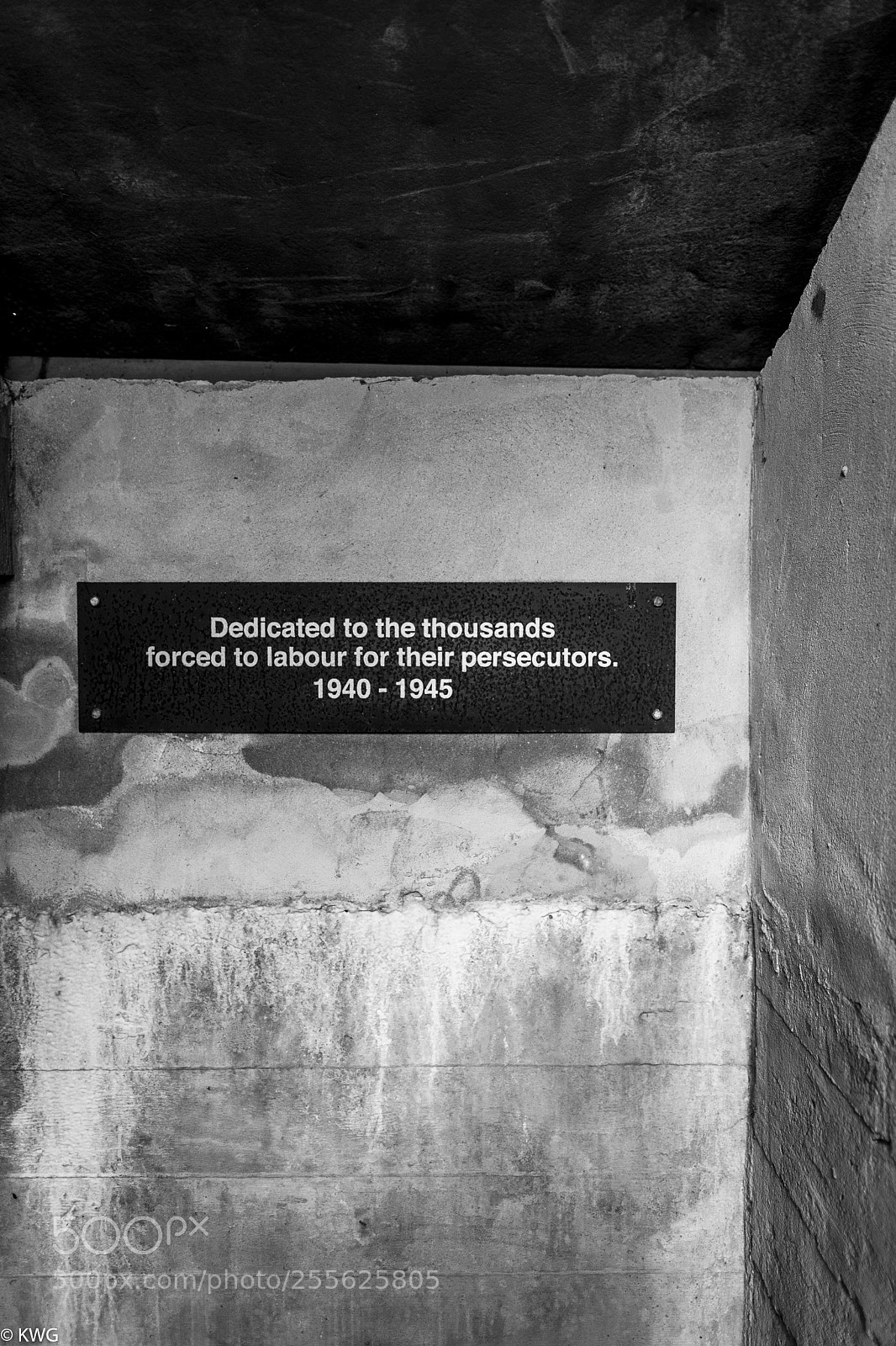 Nikon D7500 sample photo. Bunker entrance photography