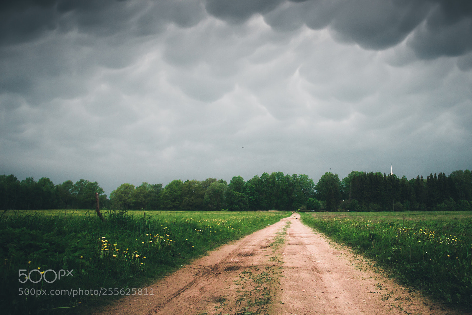 Nikon D3100 sample photo. Mammatus clouds photography