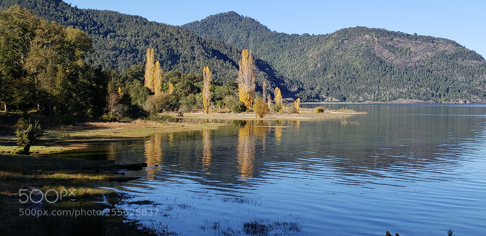 Samsung Galaxy S9 sample photo. Lago panguipulli ix regi photography